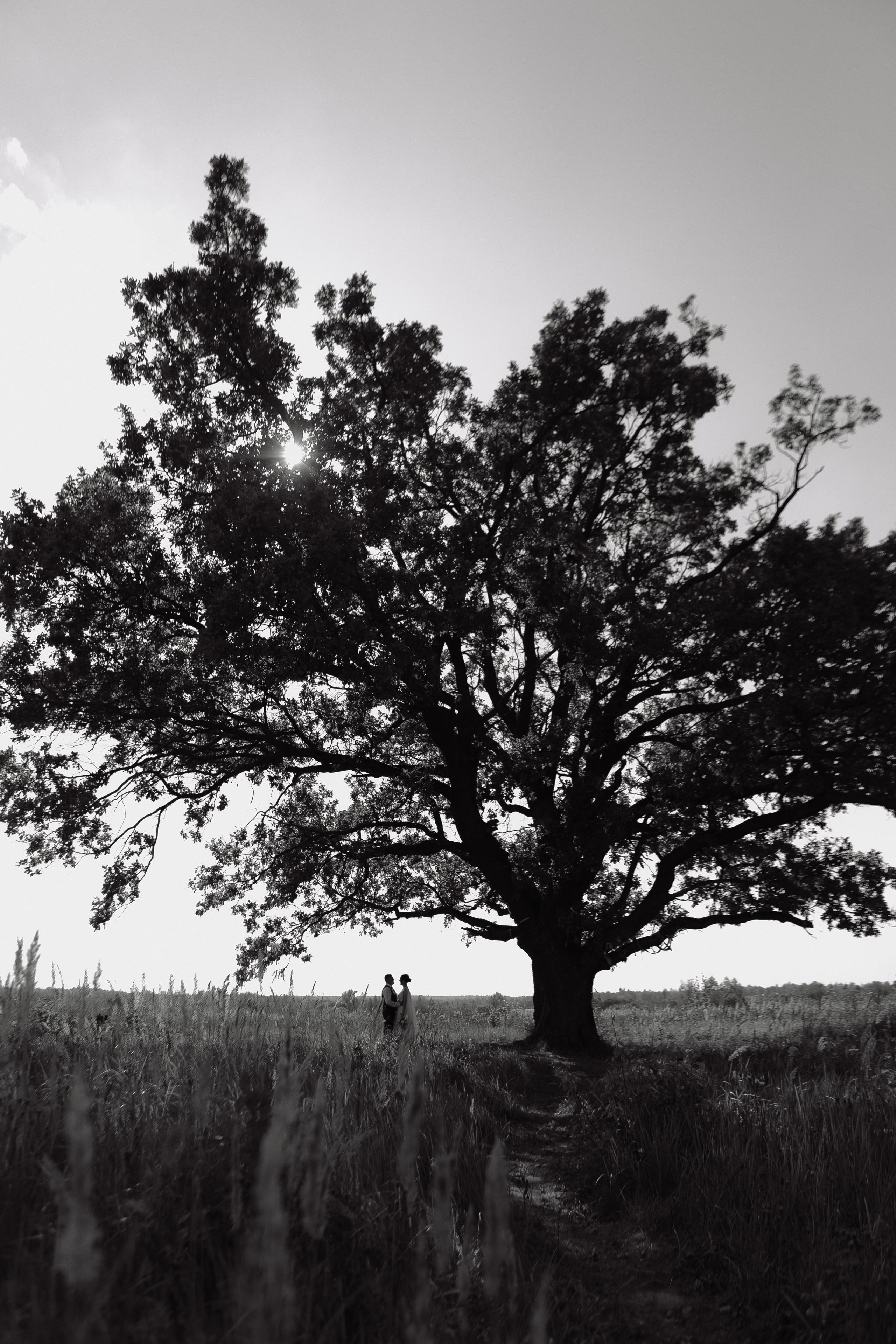 Свадьба Павла и Юлии. Фотограф Кольчугино/Владимир/Москва Елизавета Иода