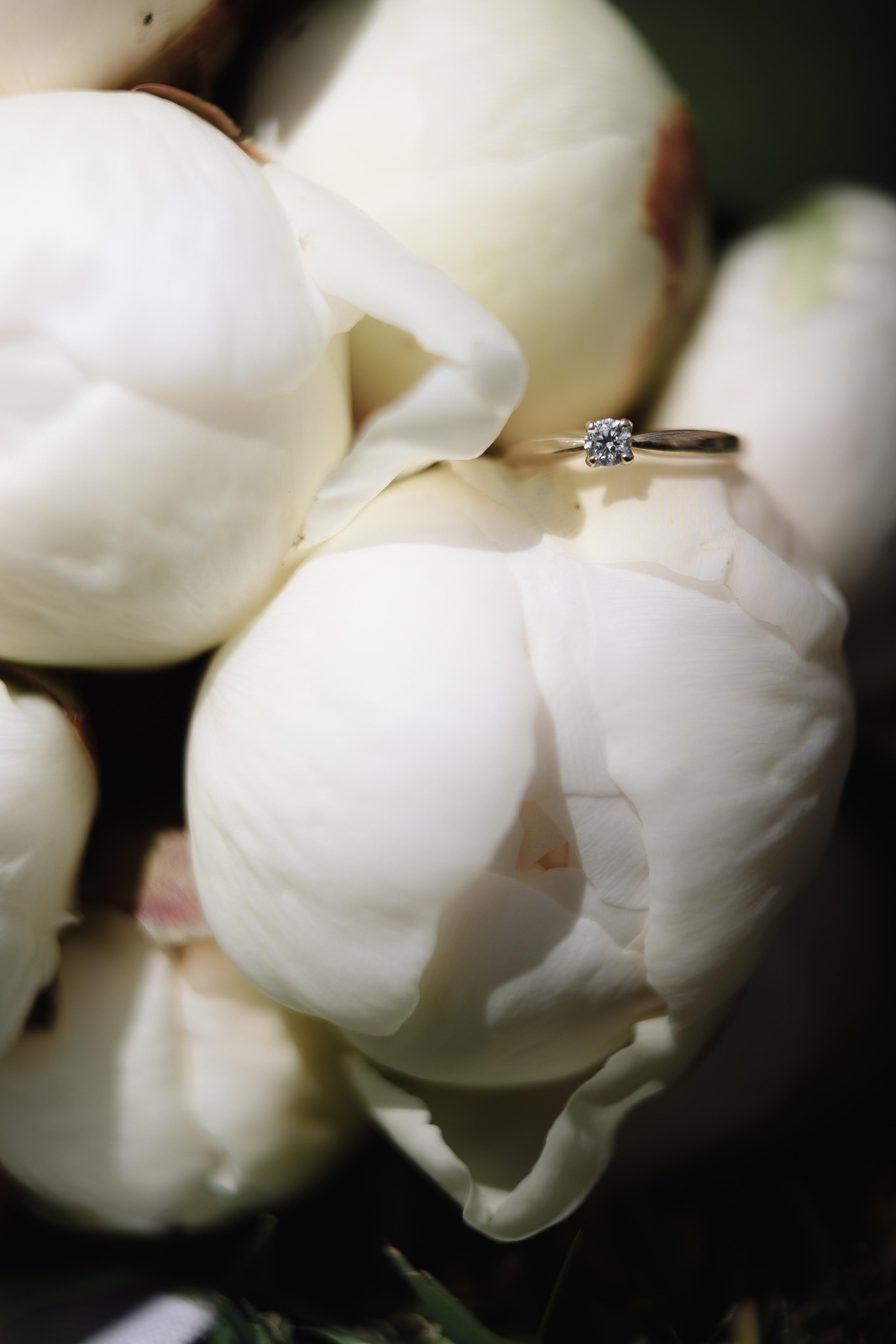 Свадьба Евгения и Дарьи. Фотограф Кольчугино/Владимир/Москва Елизавета Иода