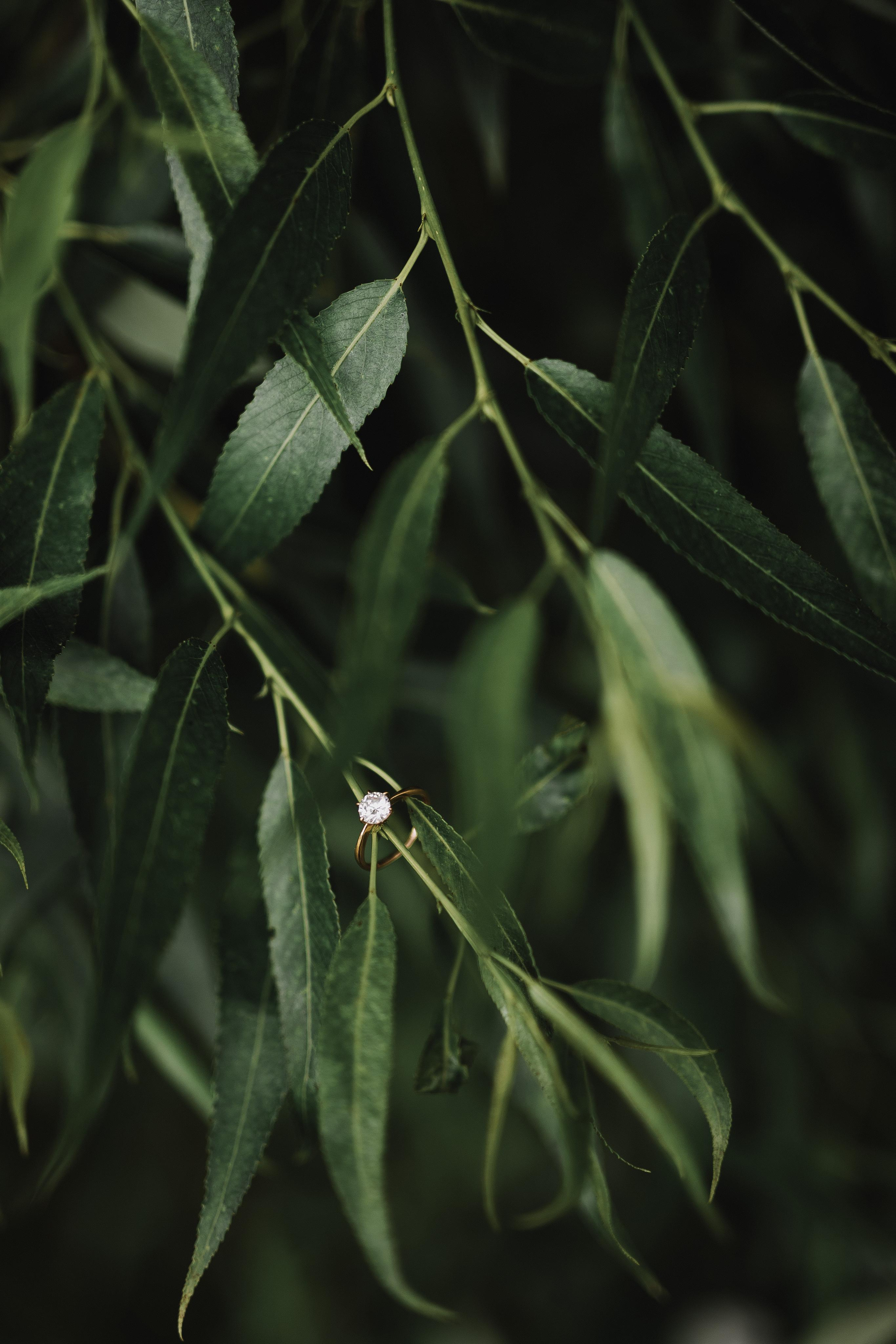 Свадьба Владислава и Анастасии. Фотограф Кольчугино/Владимир/Москва Елизавета Иода