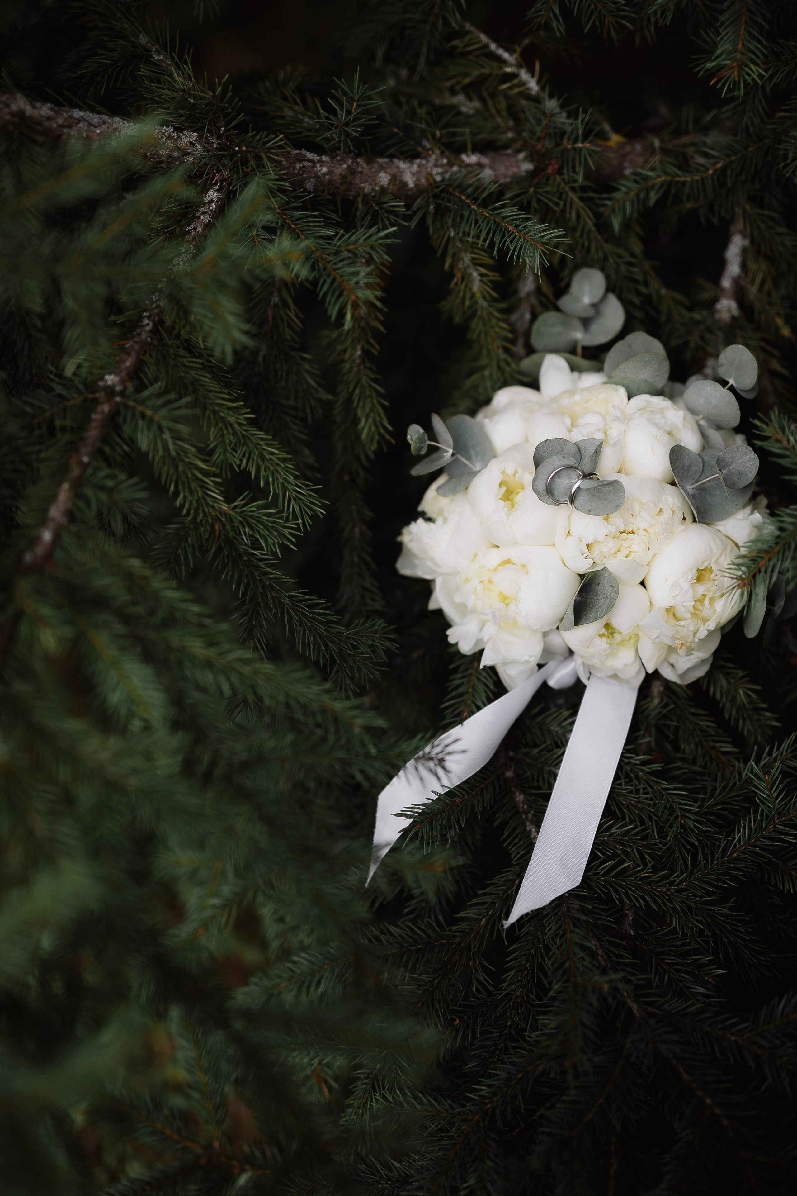 Свадьба Петра и Анны. Фотограф Кольчугино/Владимир/Москва Елизавета Иода