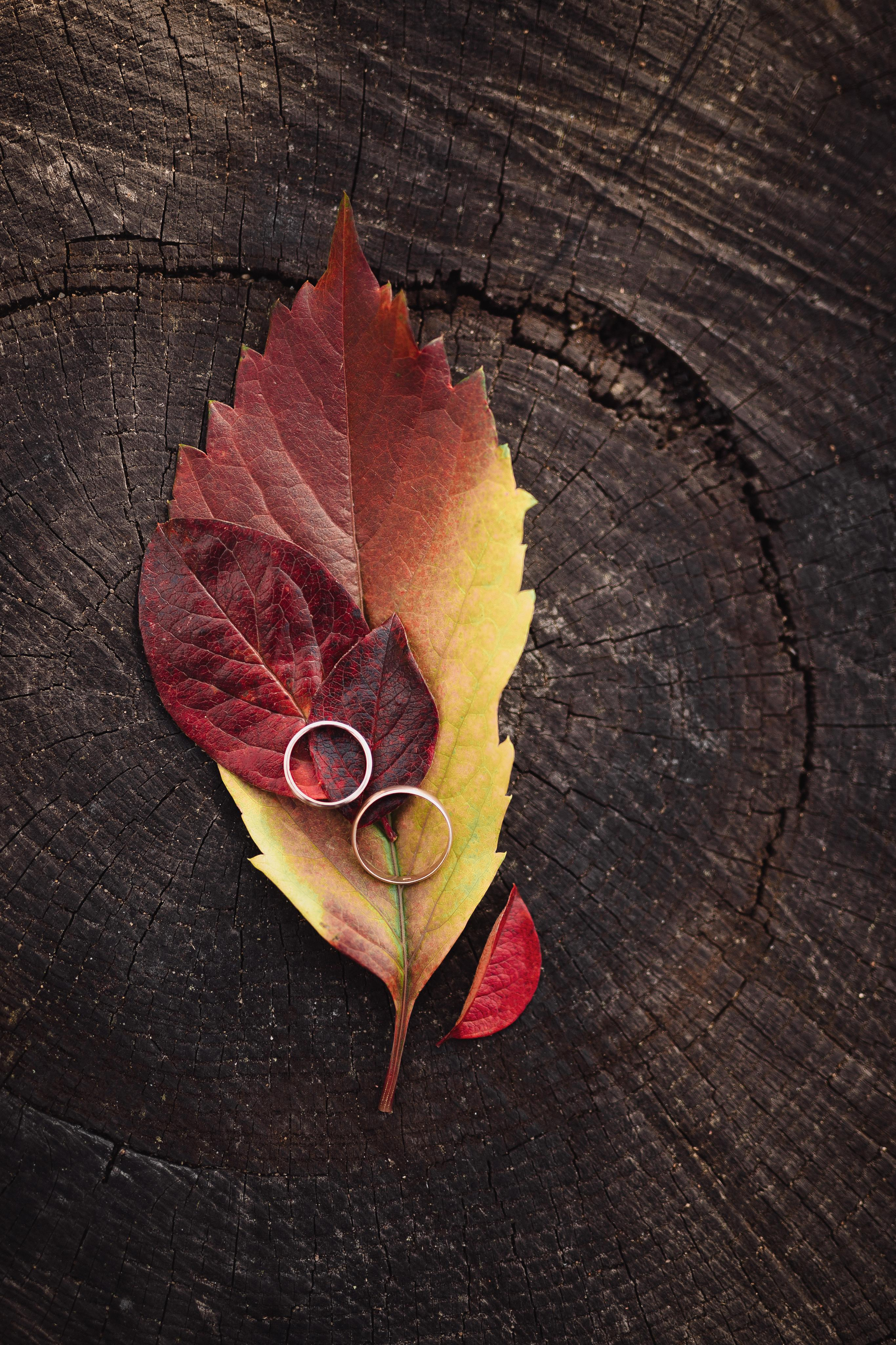 Свадьба Павла и Юлии. Фотограф Кольчугино/Владимир/Москва Елизавета Иода