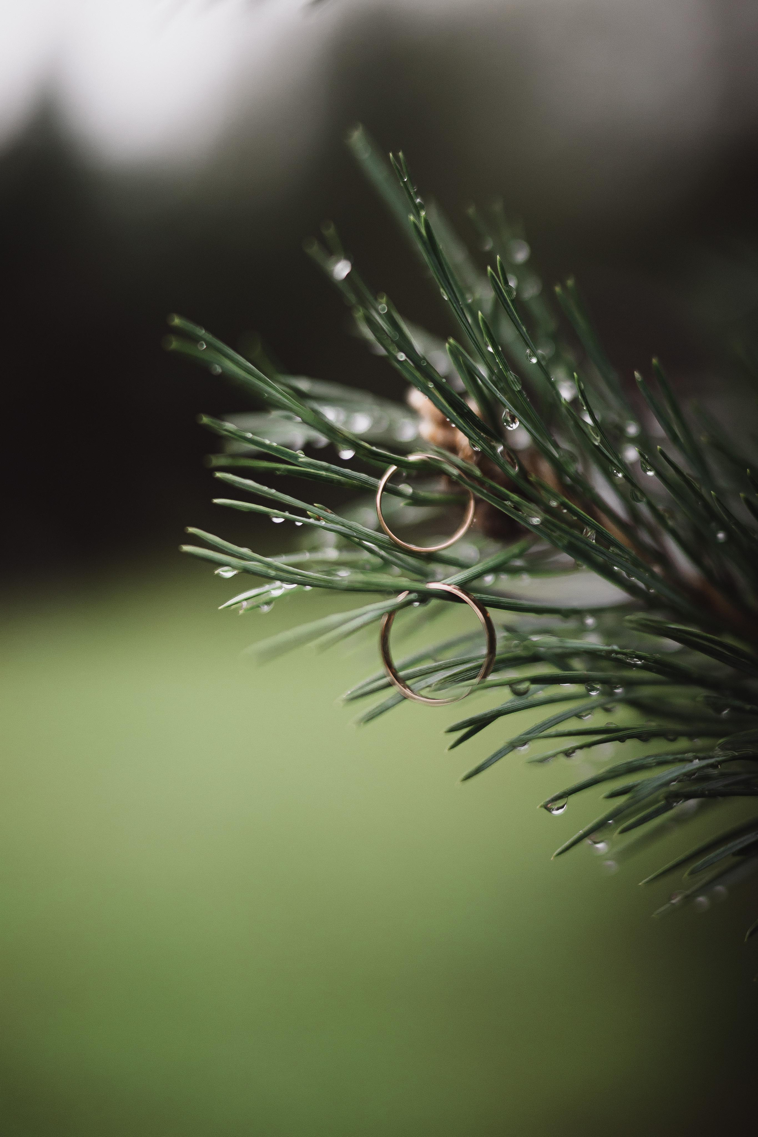 Свадьба Никиты и Натальи. Фотограф Кольчугино/Владимир/Москва Елизавета Иода