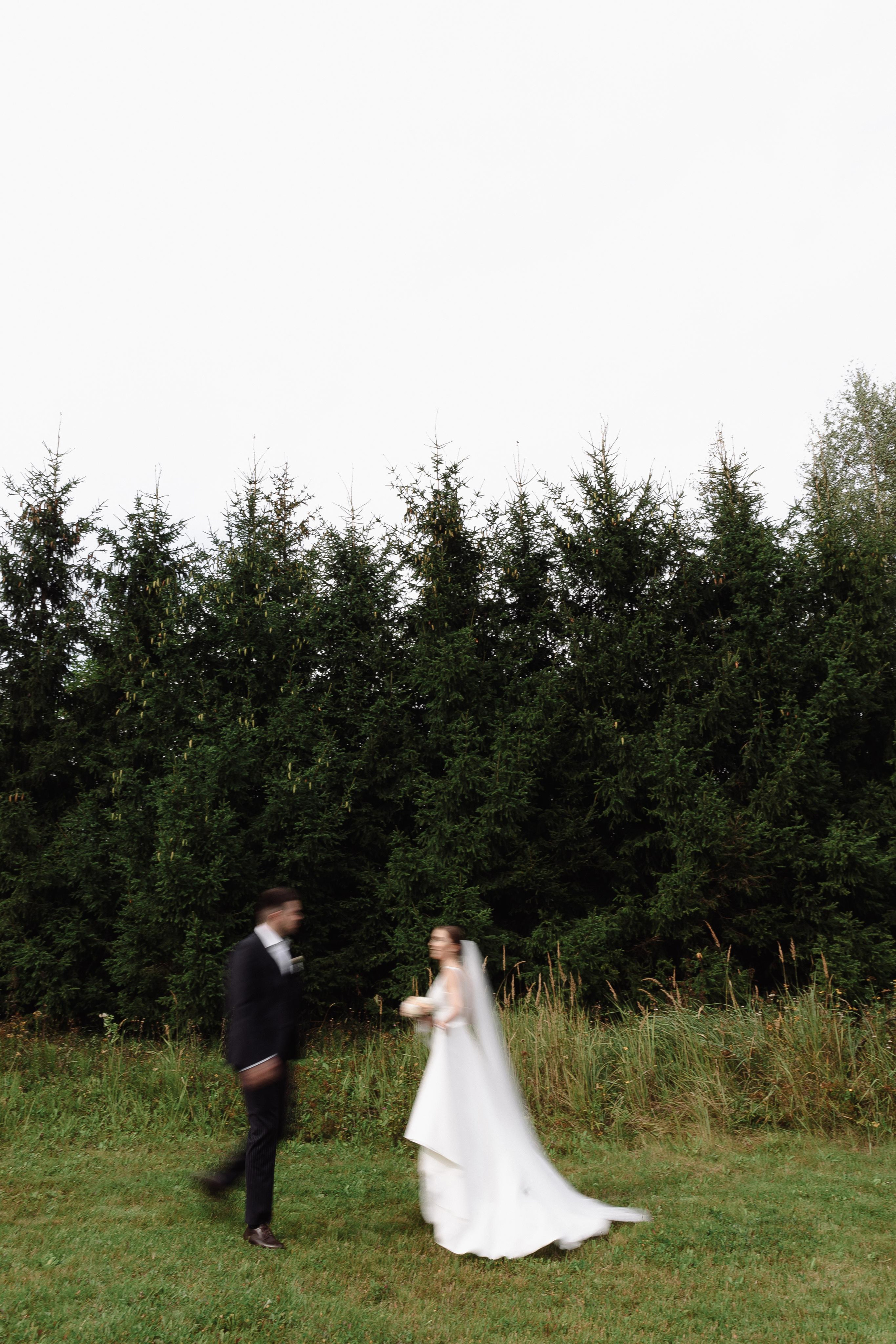 Свадьба Елисея и Екатерины. Фотограф Кольчугино/Владимир/Москва Елизавета Иода