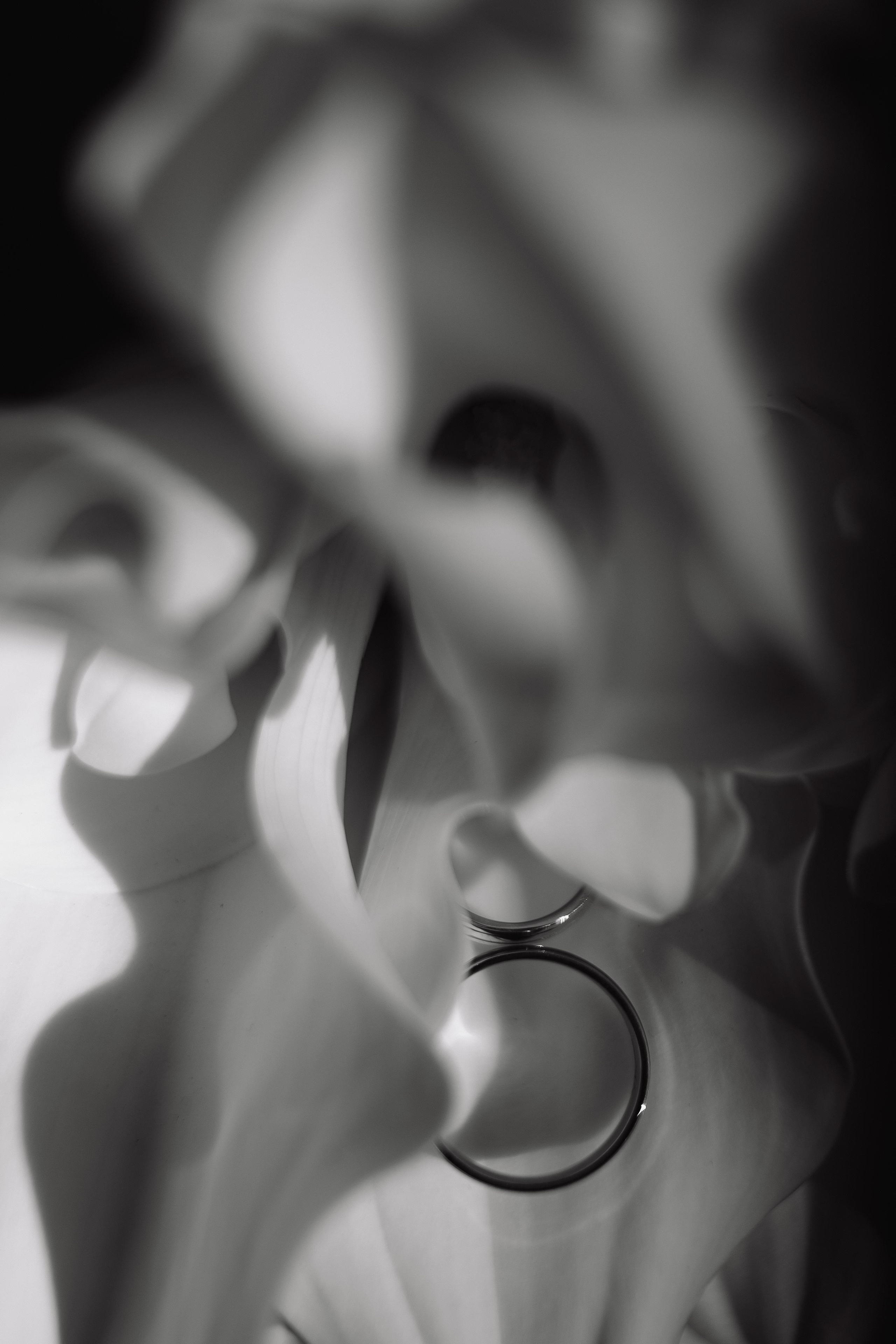 Свадьба Дмитрия и Ксении. Фотограф Кольчугино/Владимир/Москва Елизавета Иода