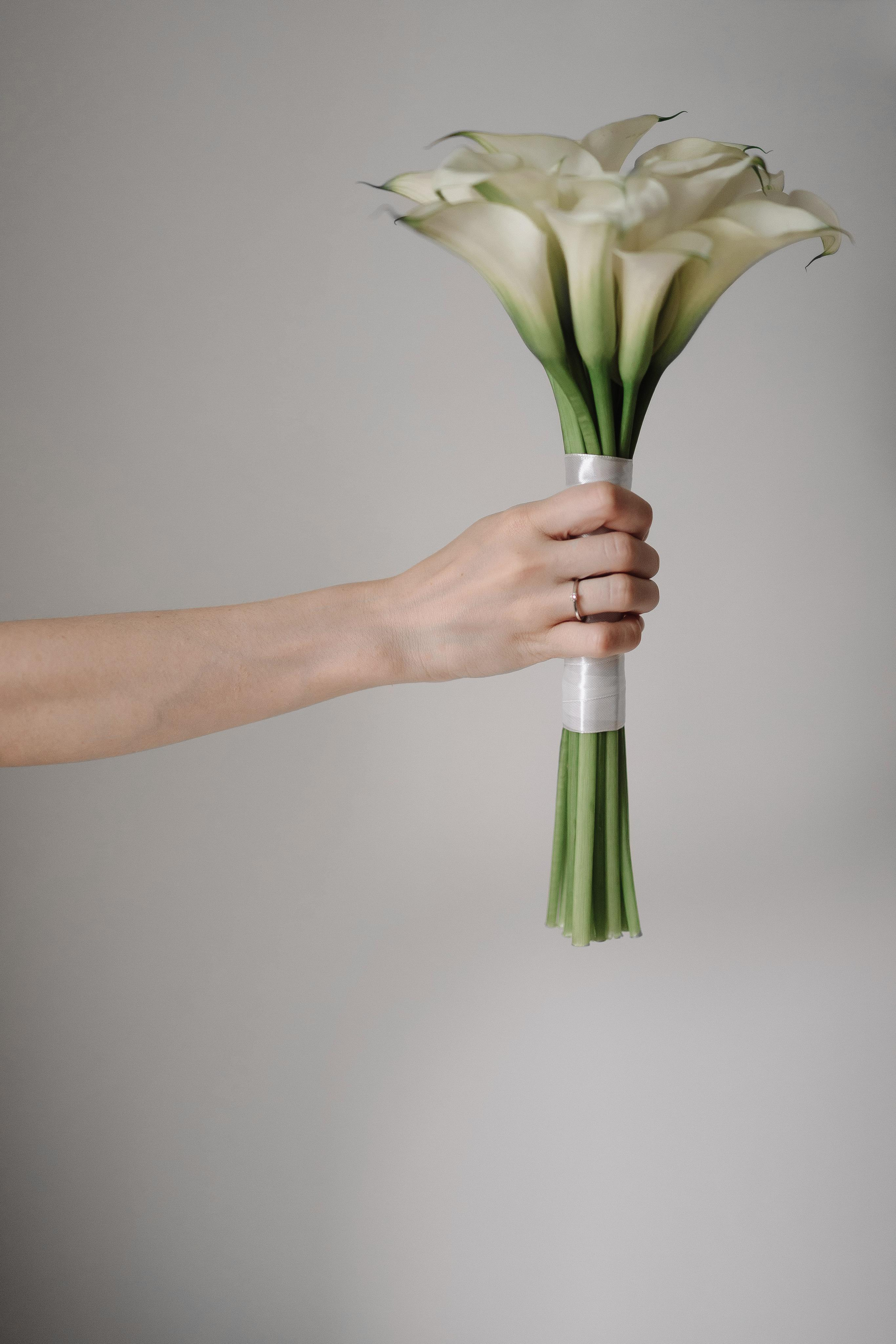 Свадьба Александра и Дарьи. Фотограф Кольчугино/Владимир/Москва Елизавета Иода