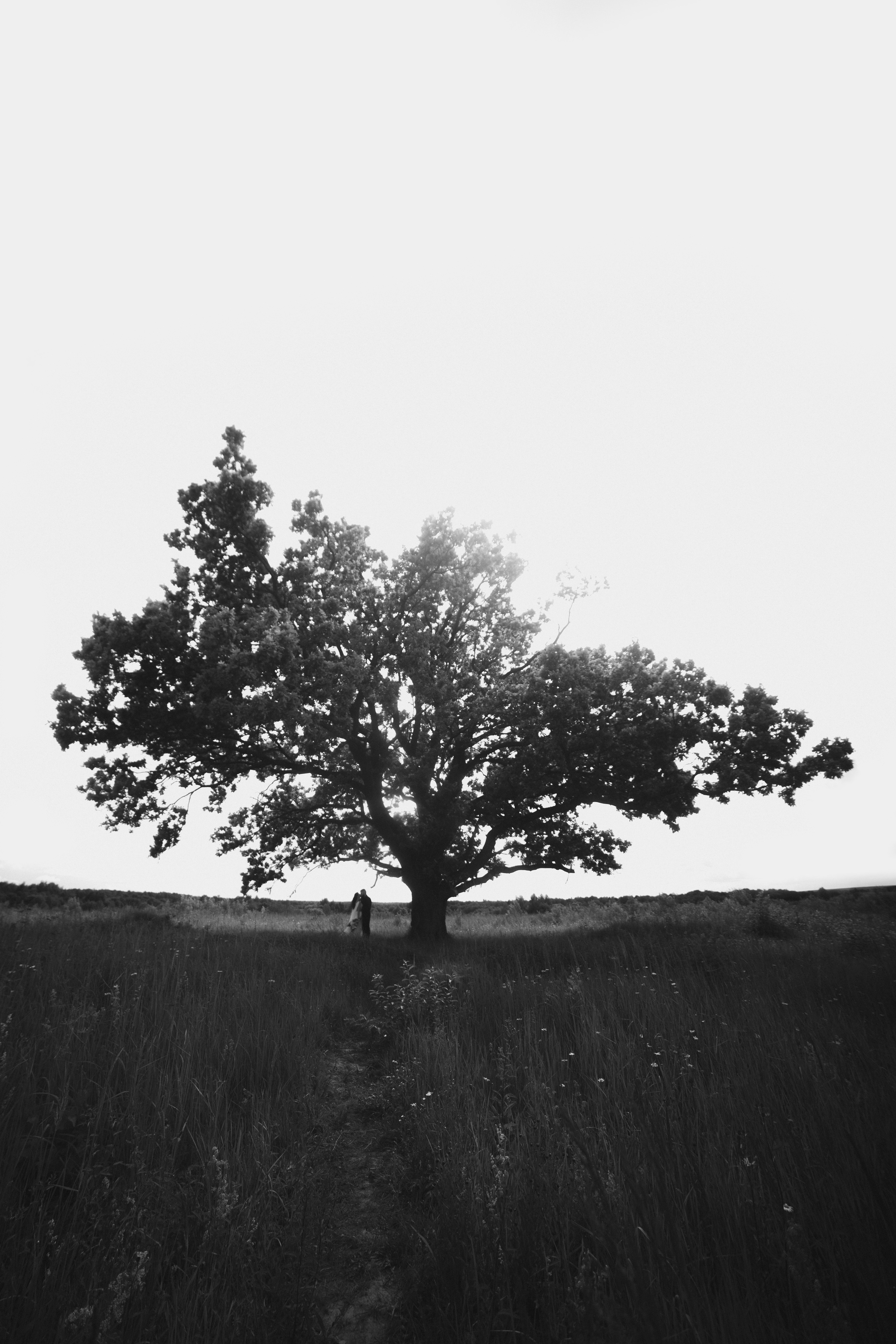 Яна и Максим. Фотограф Кольчугино/Владимир/Москва Елизавета Иода