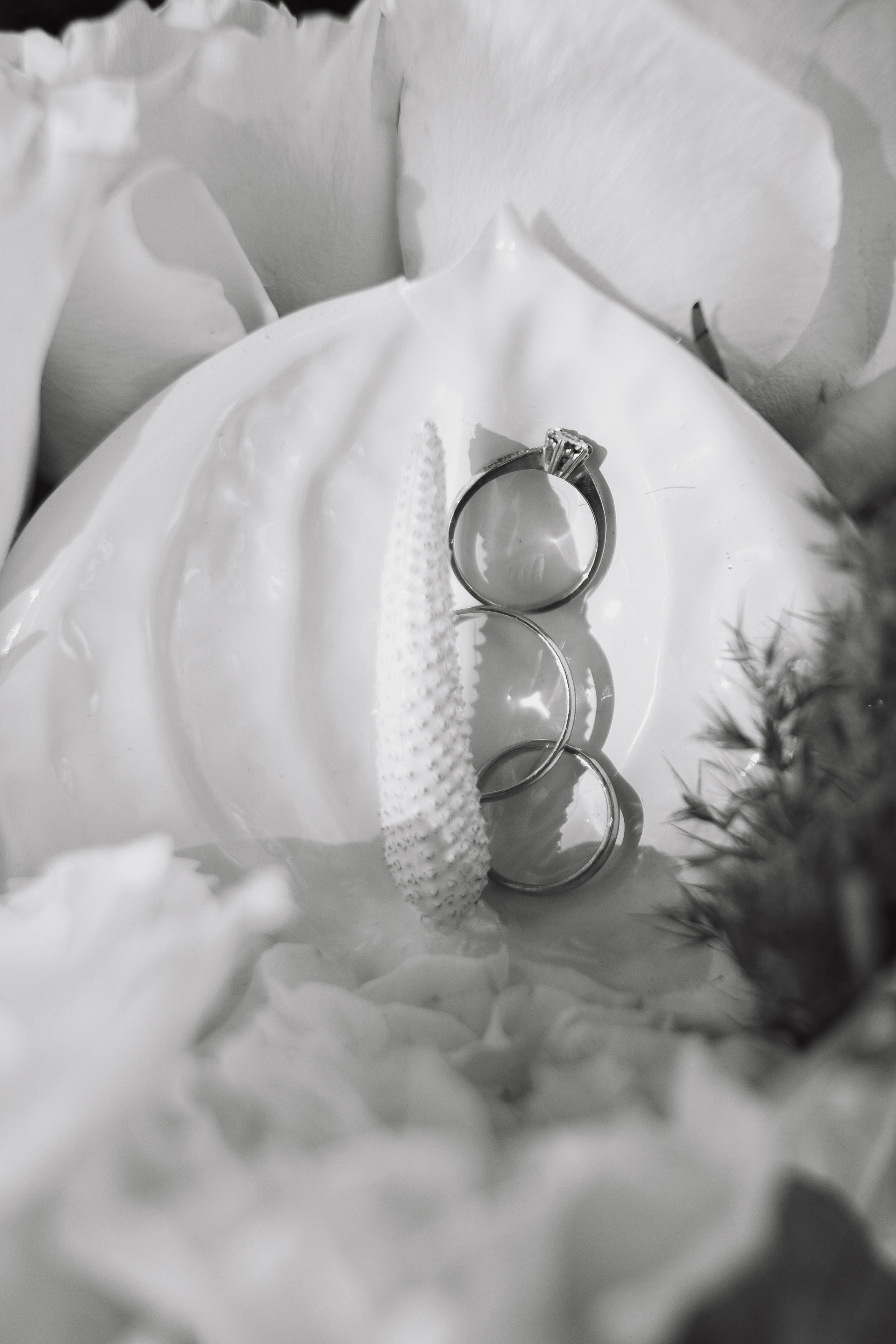 Яна и Максим. Фотограф Кольчугино/Владимир/Москва Елизавета Иода