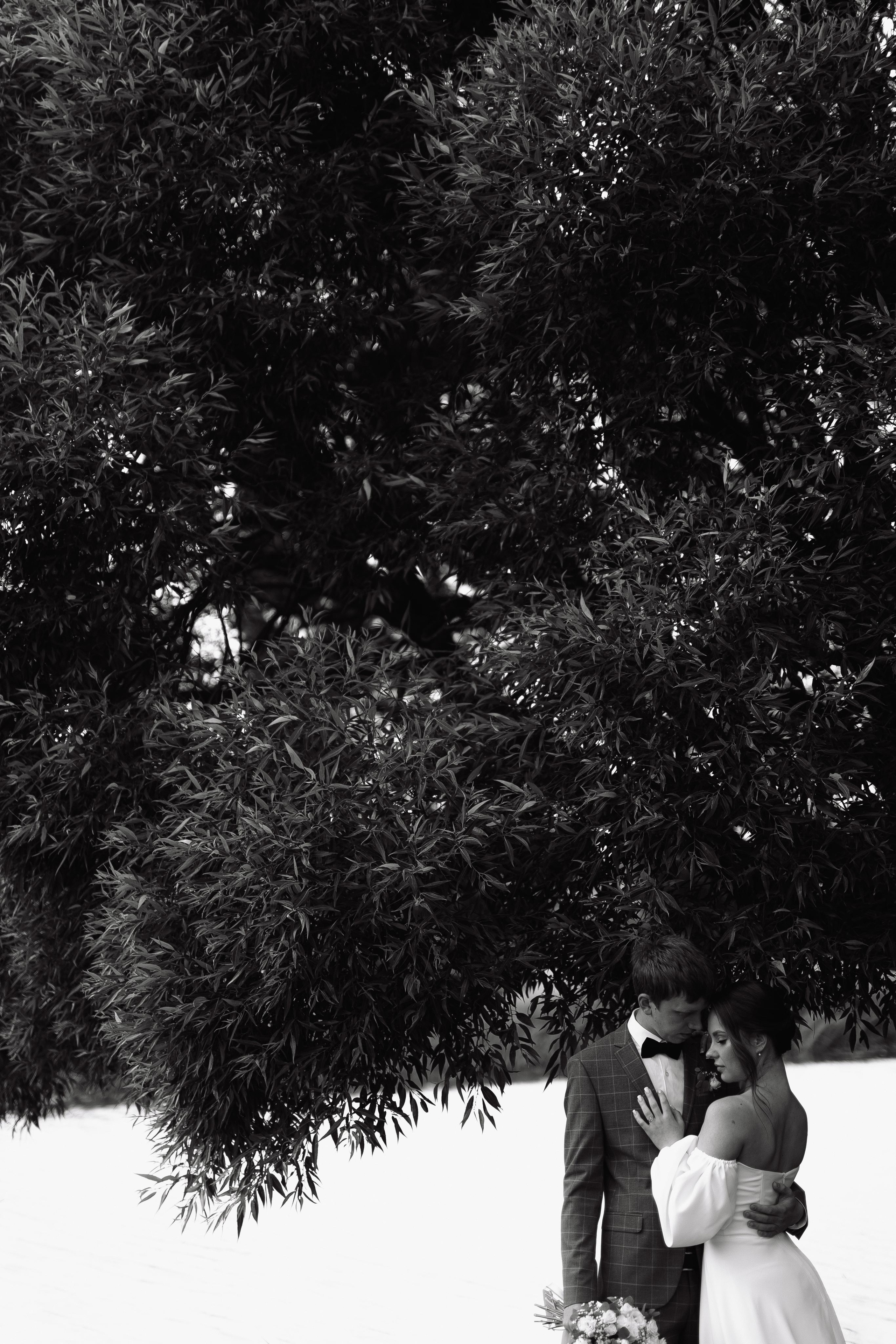 Свадьба Владислава и Анастасии. Фотограф Кольчугино/Владимир/Москва Елизавета Иода