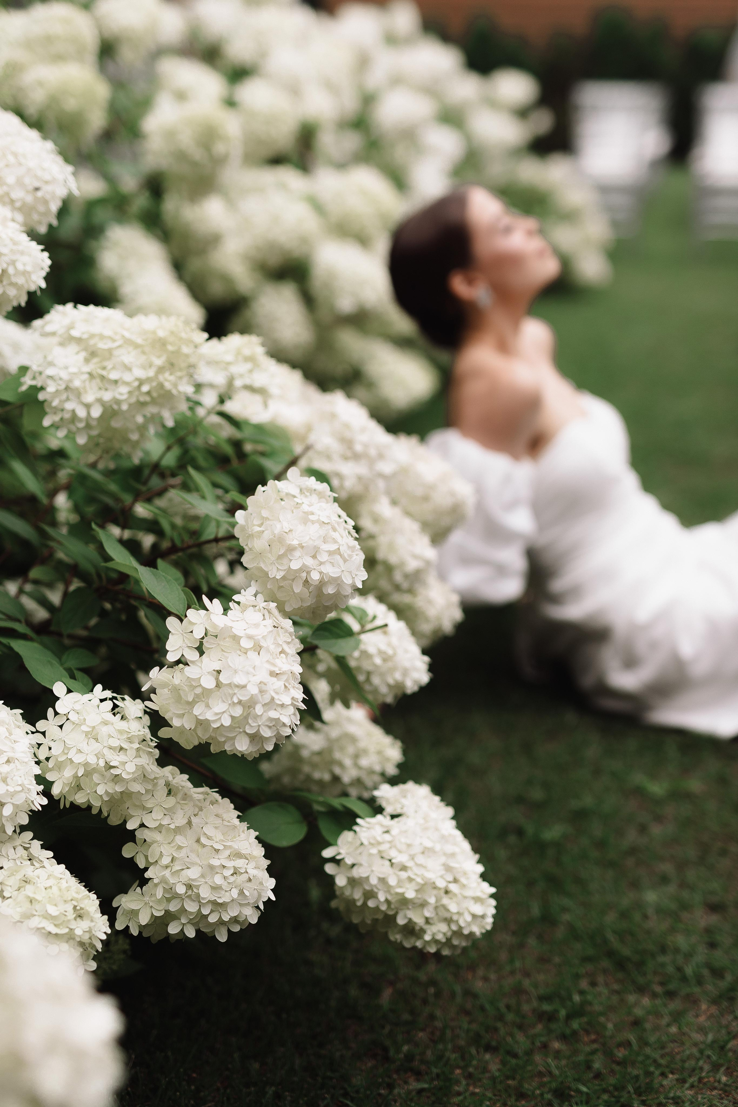 Свадьба Антона и Полины. Фотограф Кольчугино/Владимир/Москва Елизавета Иода