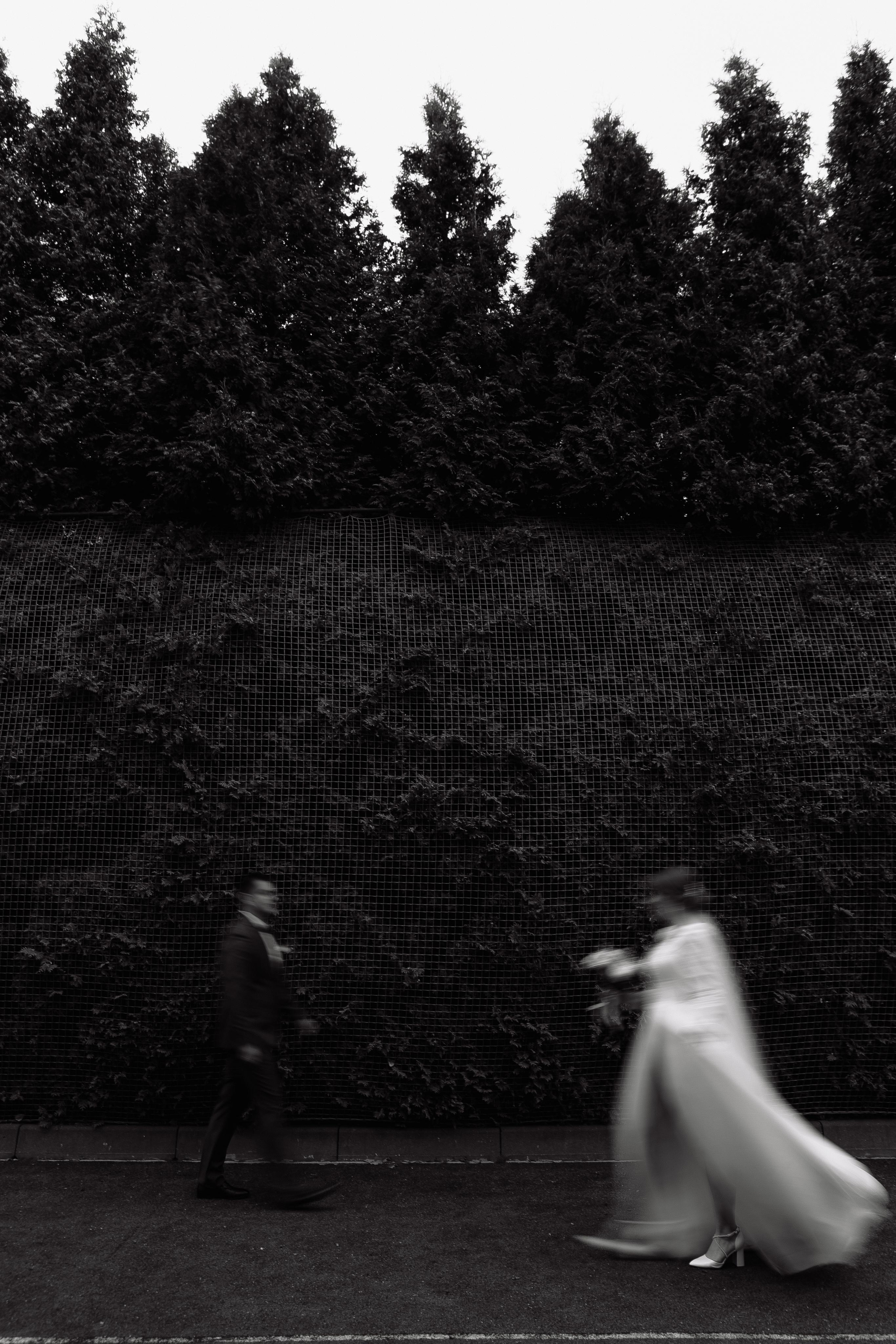 Свадьба Дениса и Анастасии. Фотограф Кольчугино/Владимир/Москва Елизавета Иода