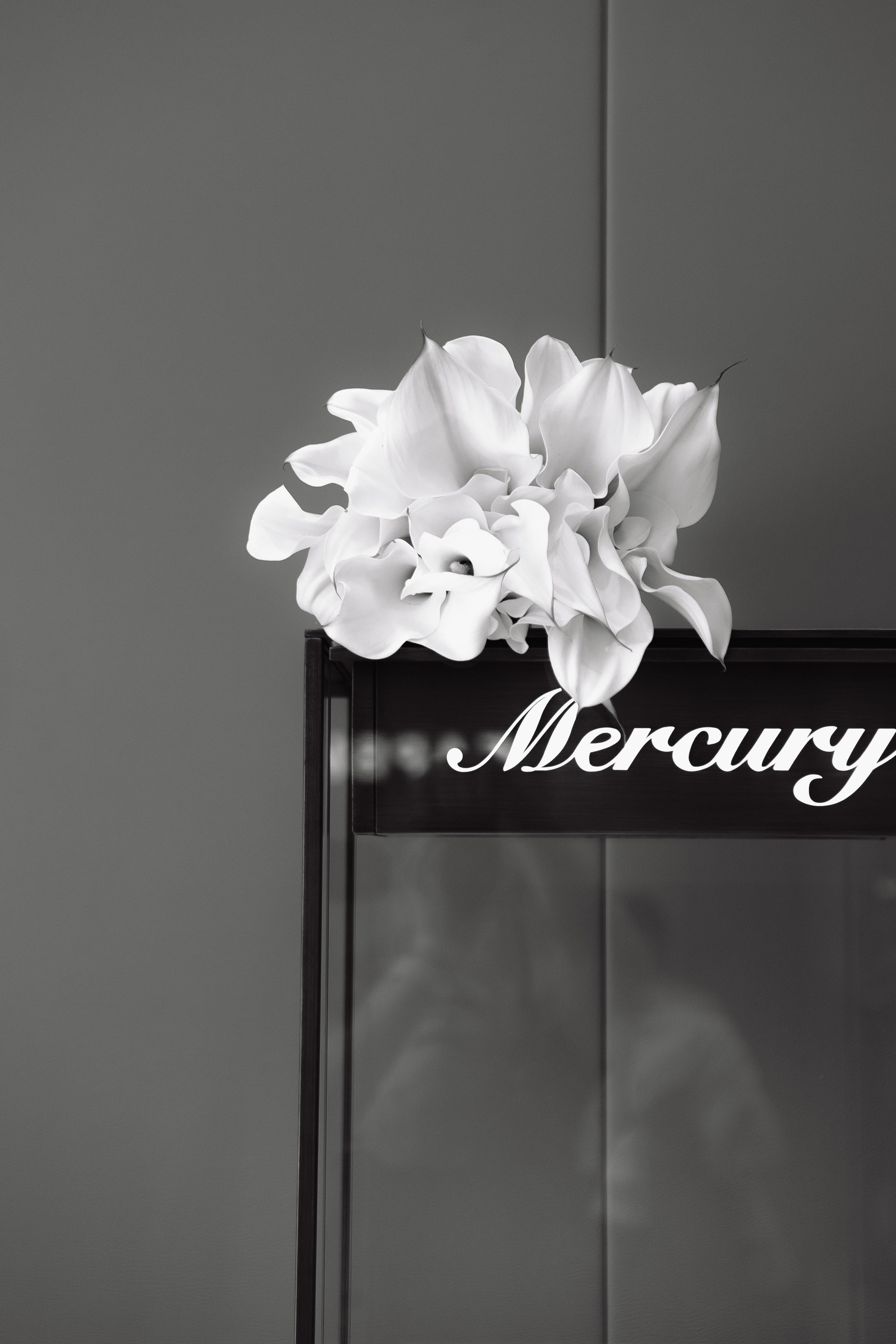 Свадьба Дмитрия и Ксении. Фотограф Кольчугино/Владимир/Москва Елизавета Иода