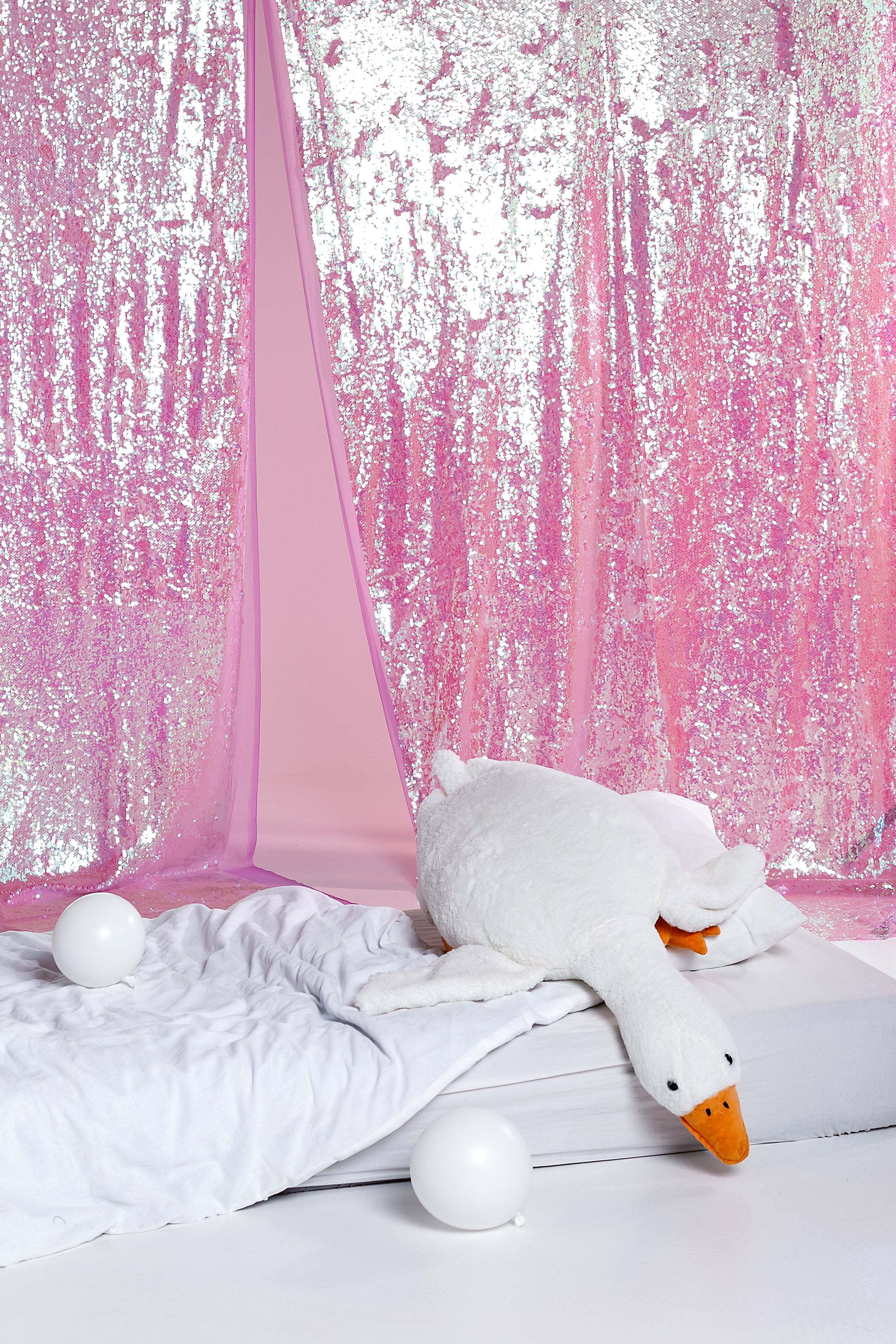 Фотодень \ Розовый рай \ Студия MAIN, зал ДЮНА \ ул. Добролюбова 31 к12а. Фотограф в  г. Новосибирск