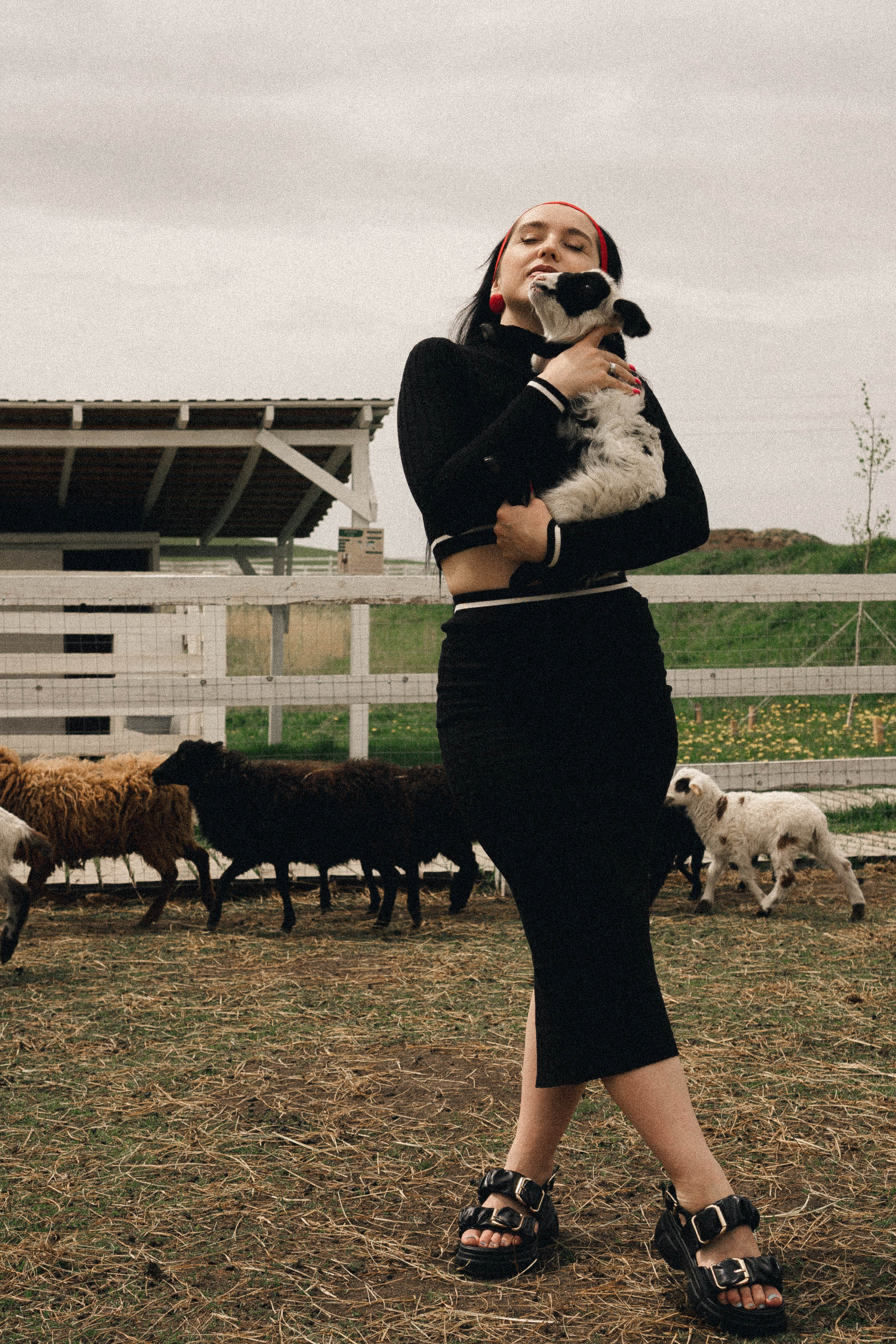 Ферма Альпак. Профессиональный фотограф, Санкт-Петербург — Виктория Богомолова