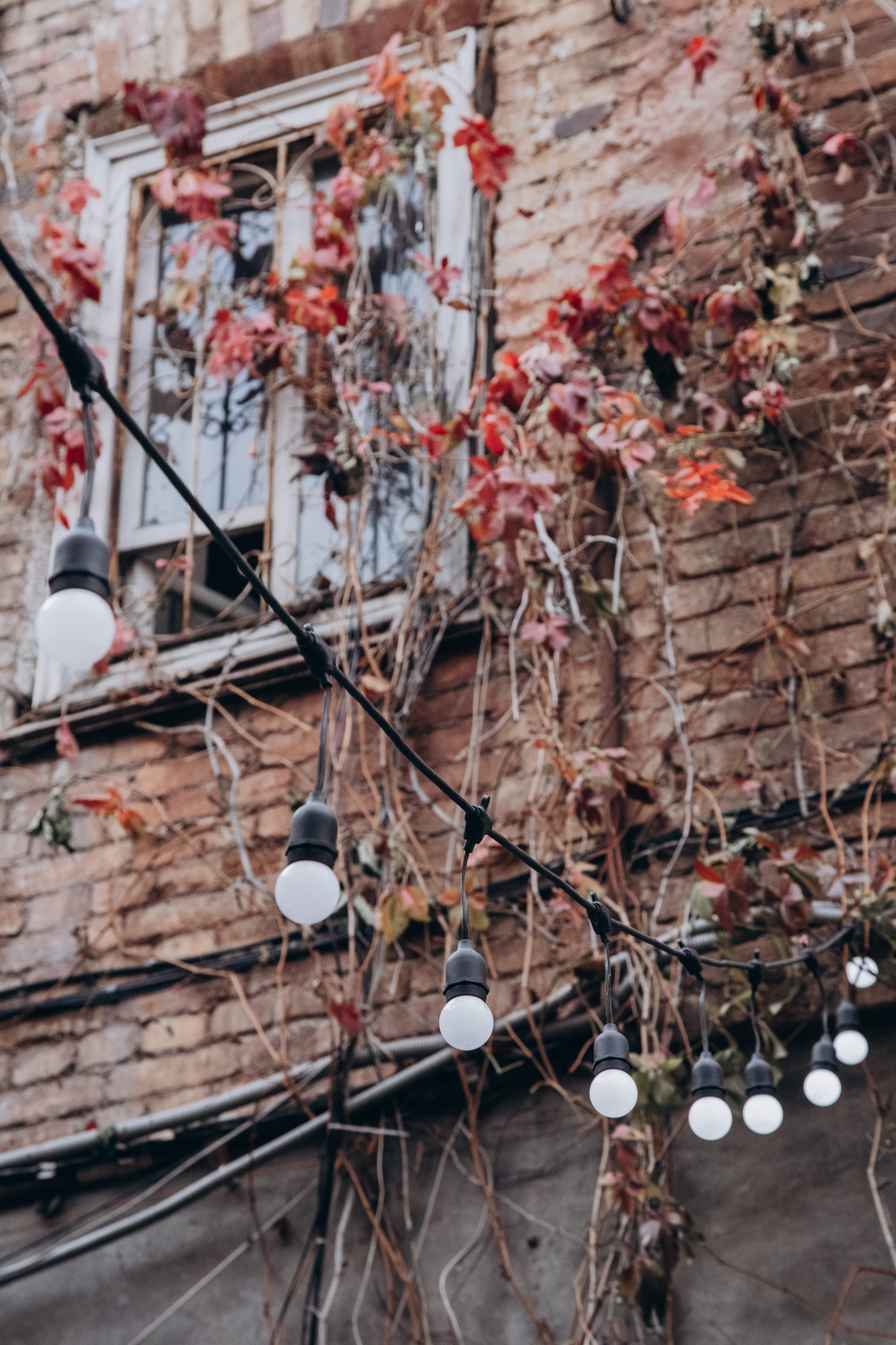 Олеся. Фотограф Анастасия Петрова