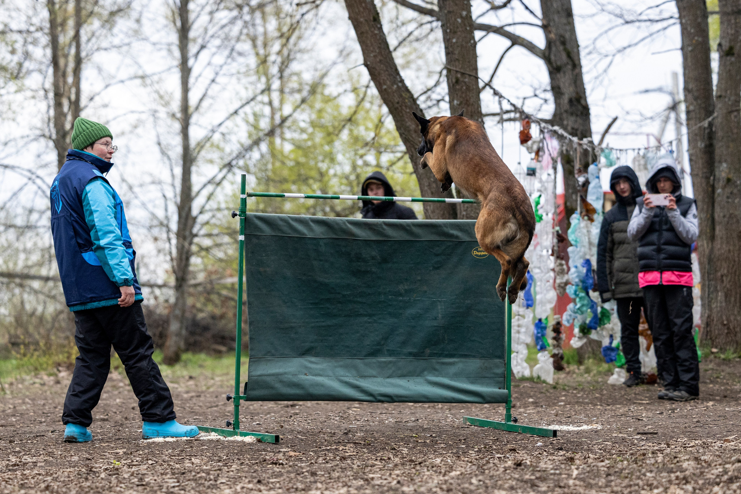 Квалификационные состязания по мондьорингу г. Вологда 11.05.24. Фотограф-анималист Анна Маринич