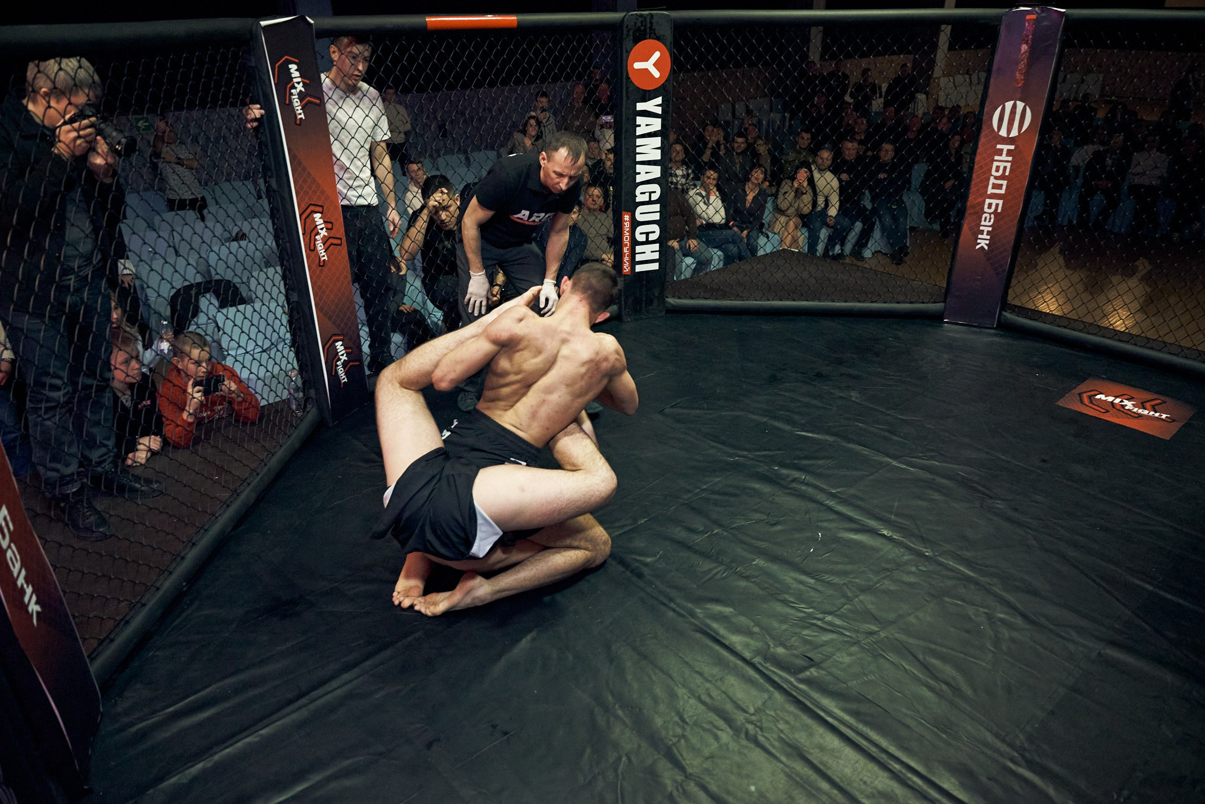 Бои. Маляревич Дмитрий свадебный фотограф