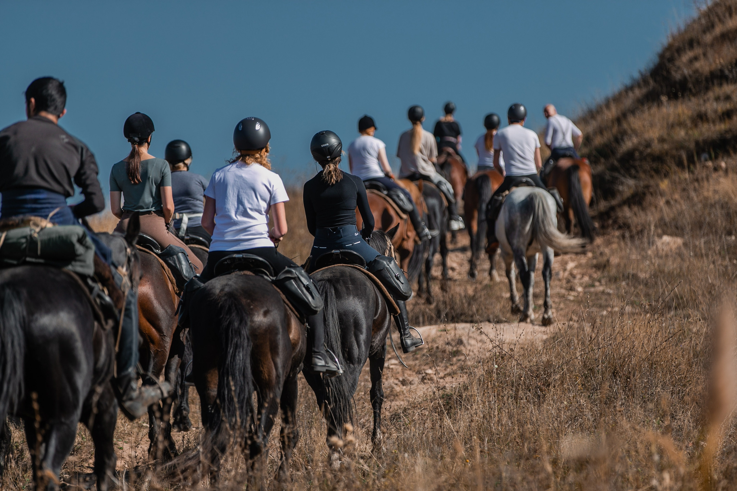 Фототуры в Карачаево-Черкессии 2019-2020. Фотограф-анималист Ксендзова Кристина