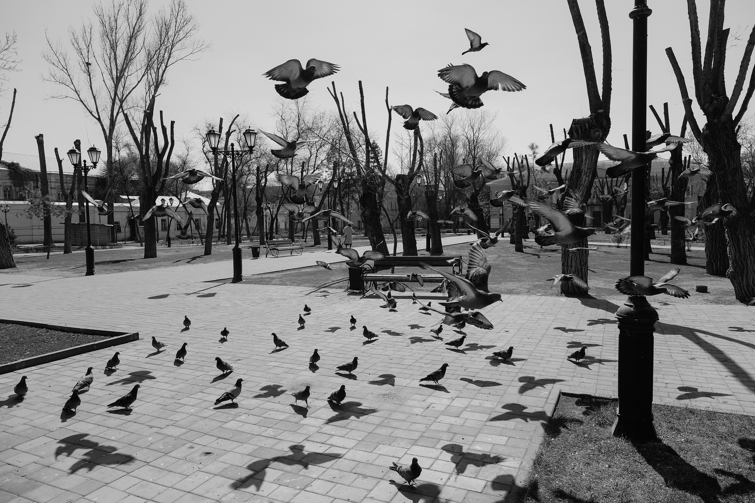 Пандемия. Фотограф Анатолий Деникин