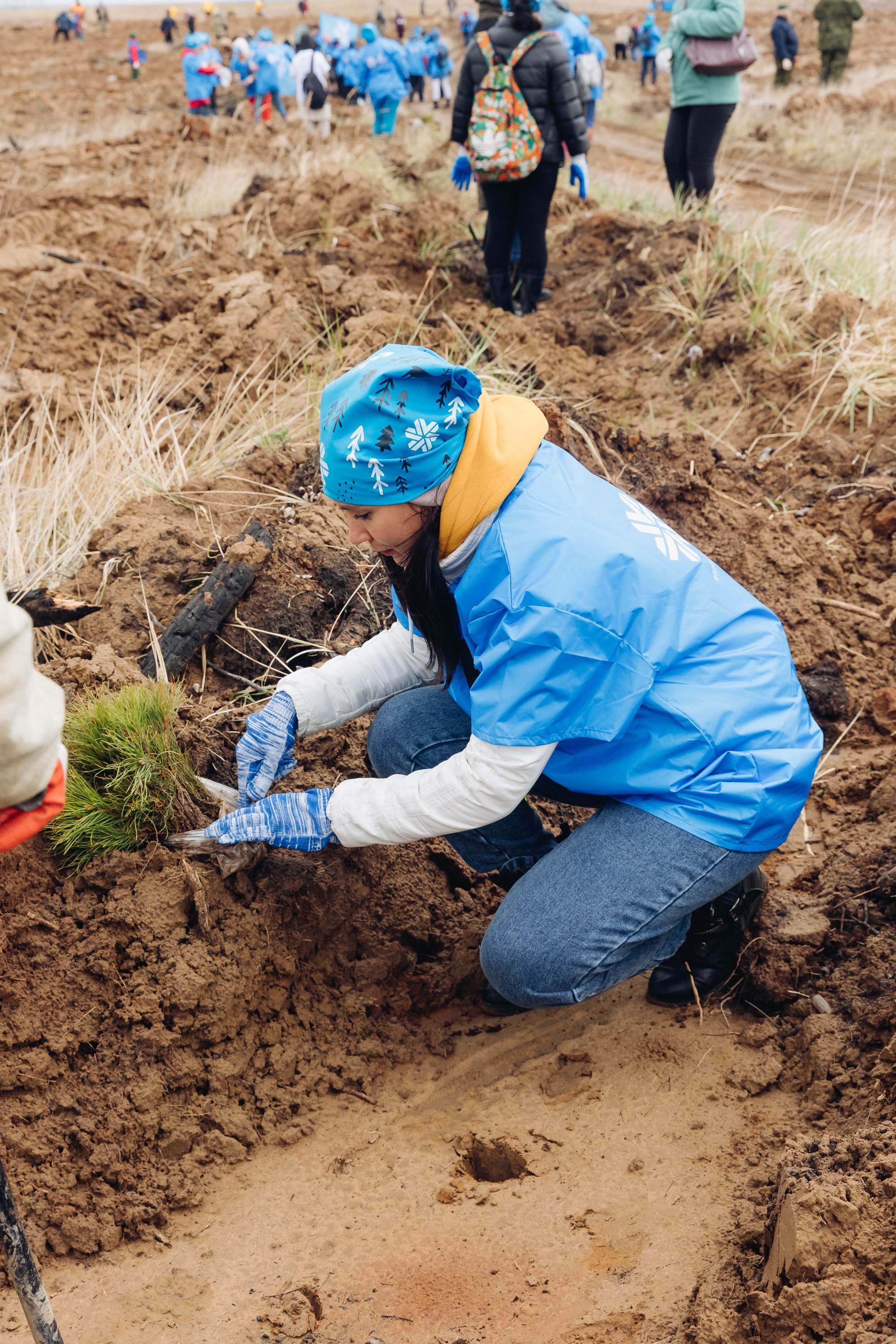 Siberian wellness. Ежегодная акция по посадке деревьев. Свадебный и семейный фотограф в Улан-Удэ