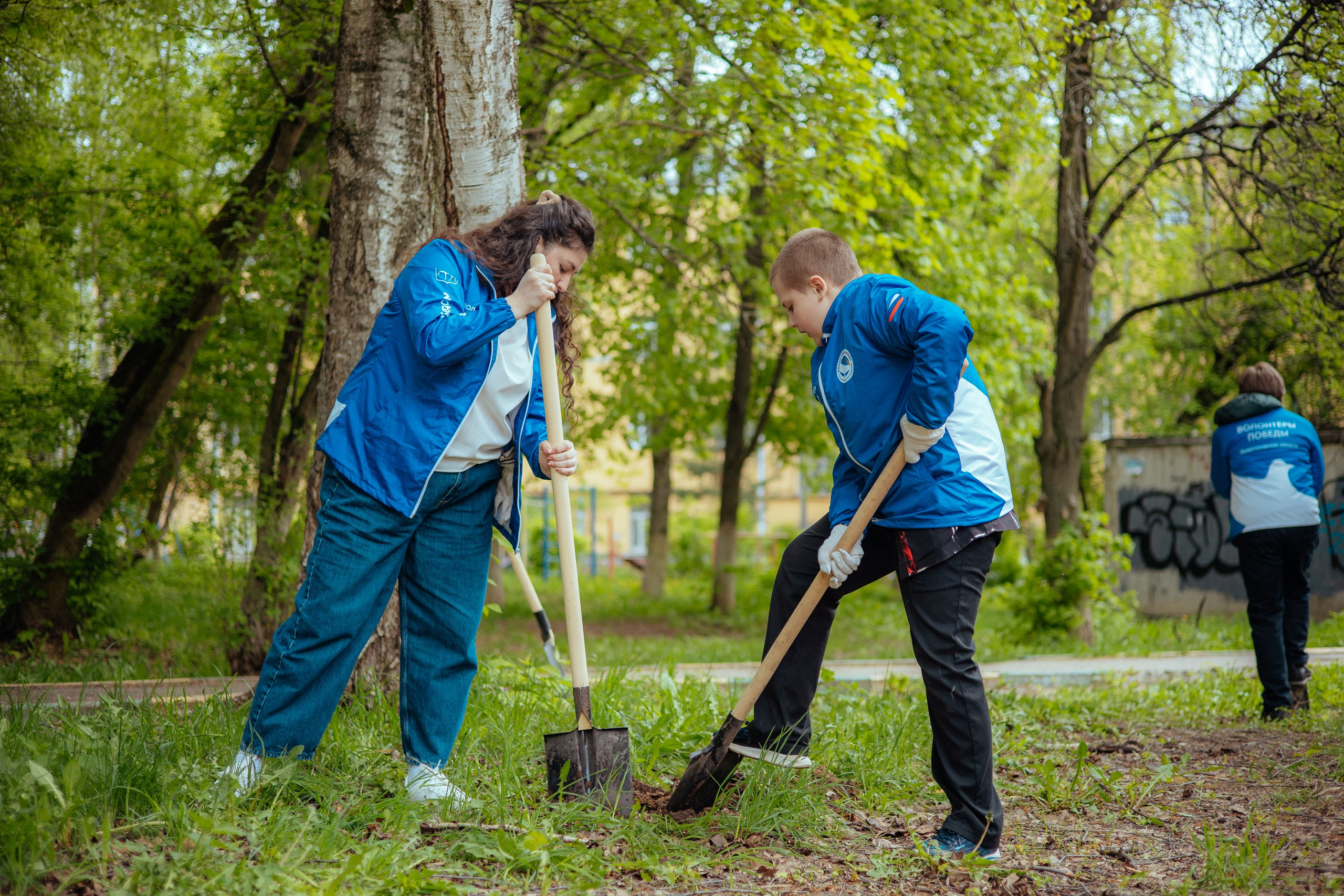 Сад памяти | волонтеры победы