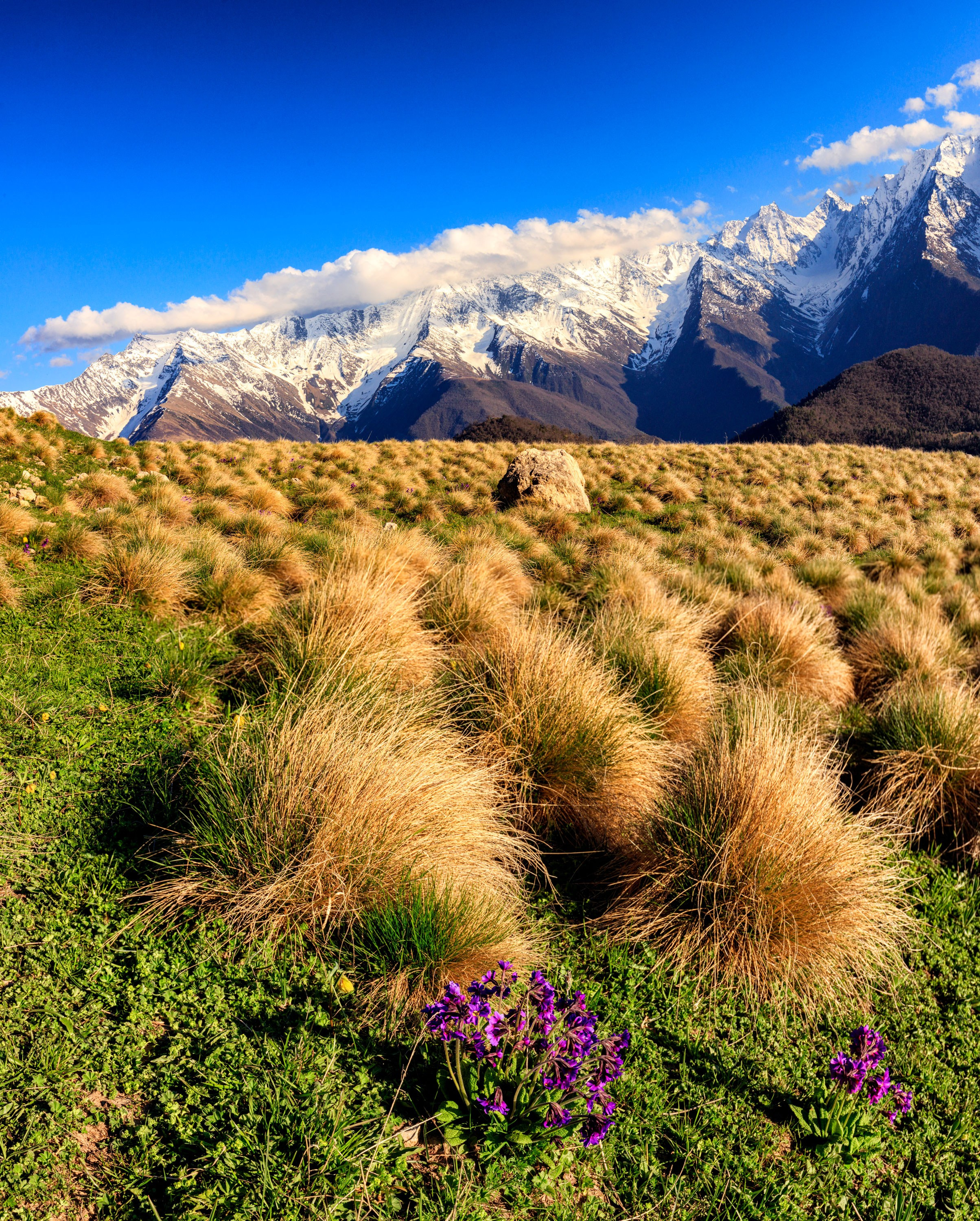 Ингушетия. Заповедник Эрзи. Танцы и балет, эротика, ню фотосессии в Москве. Valius Werwolf