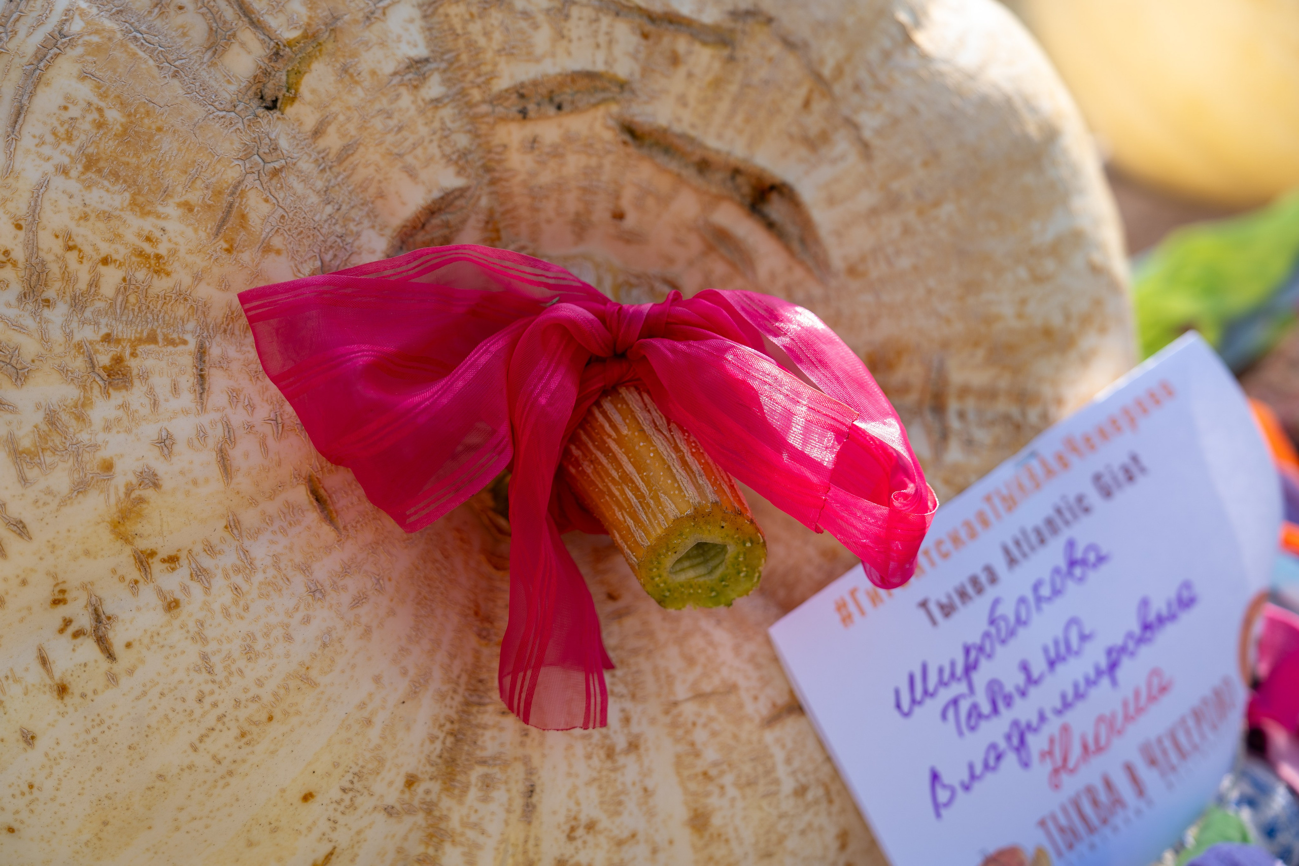 Ярмарка. Фотограф Наталья Сорока Ижевск