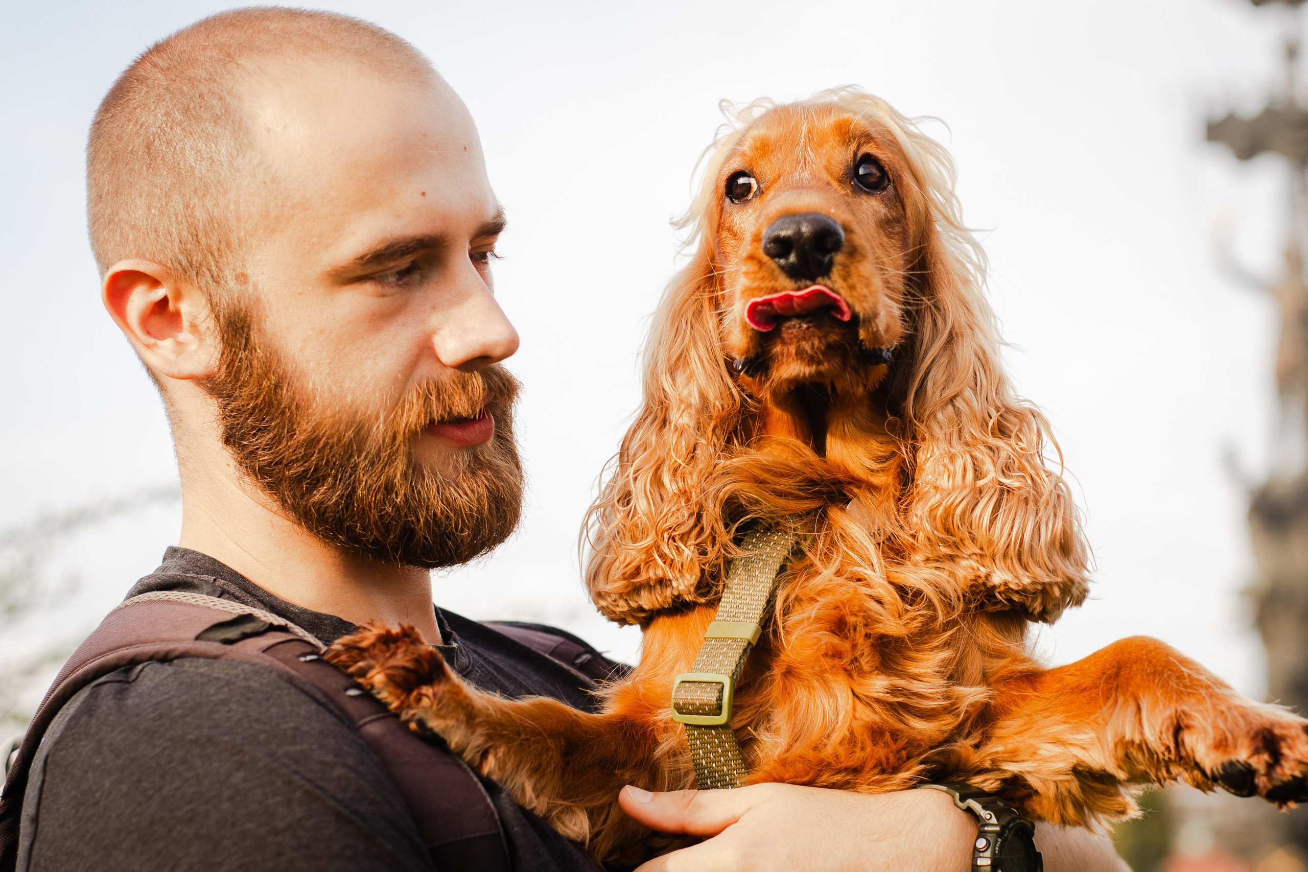 Арина, Паша и Арчер. Фотограф-анималист Мария Баркевич | Москва