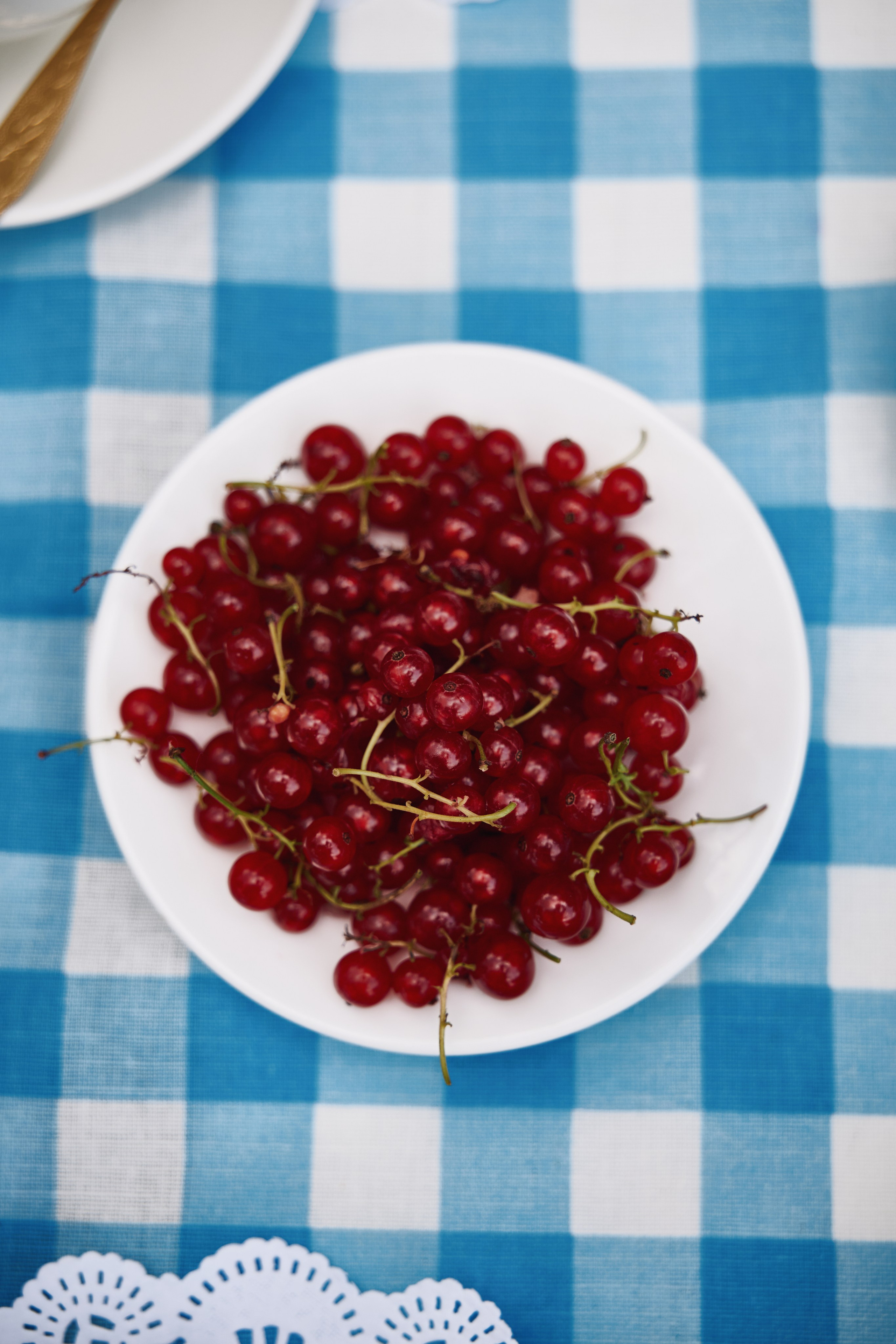Завтрак в шляпках. Фотограф и видеограф в Кургане Леонид Корнильев