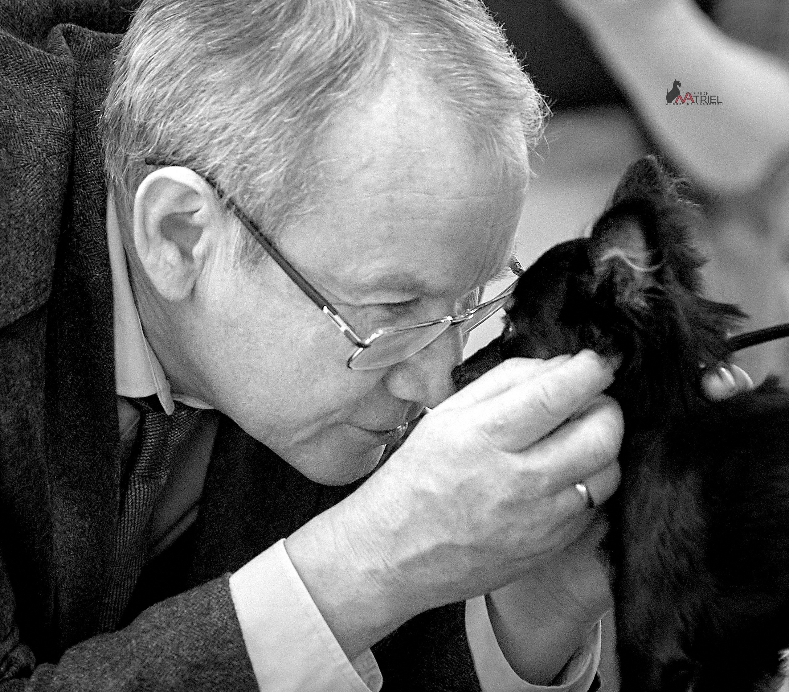 Работа в рингах — галерея NATRIEL