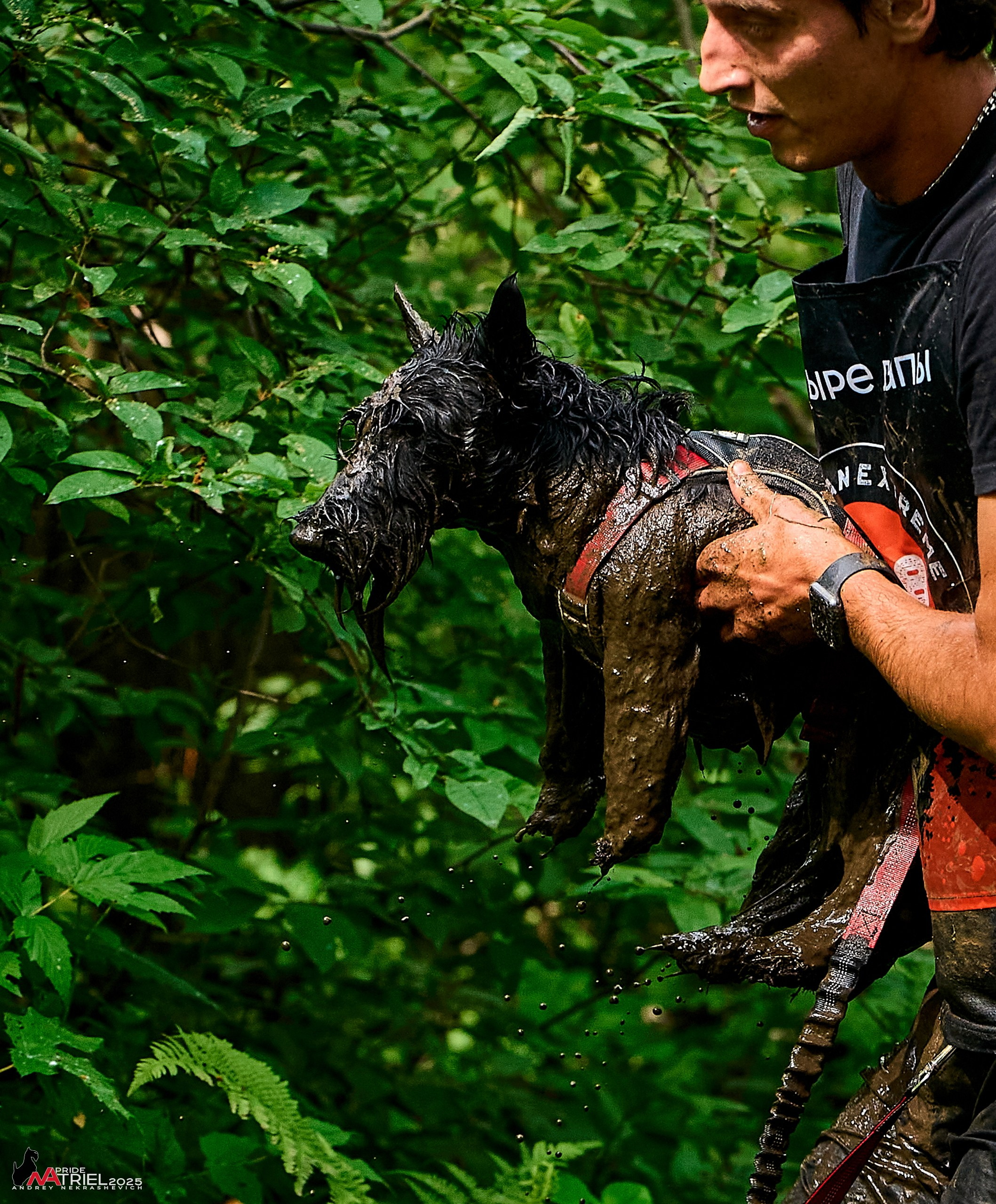 Russian Extreme Dog Trail — 2025