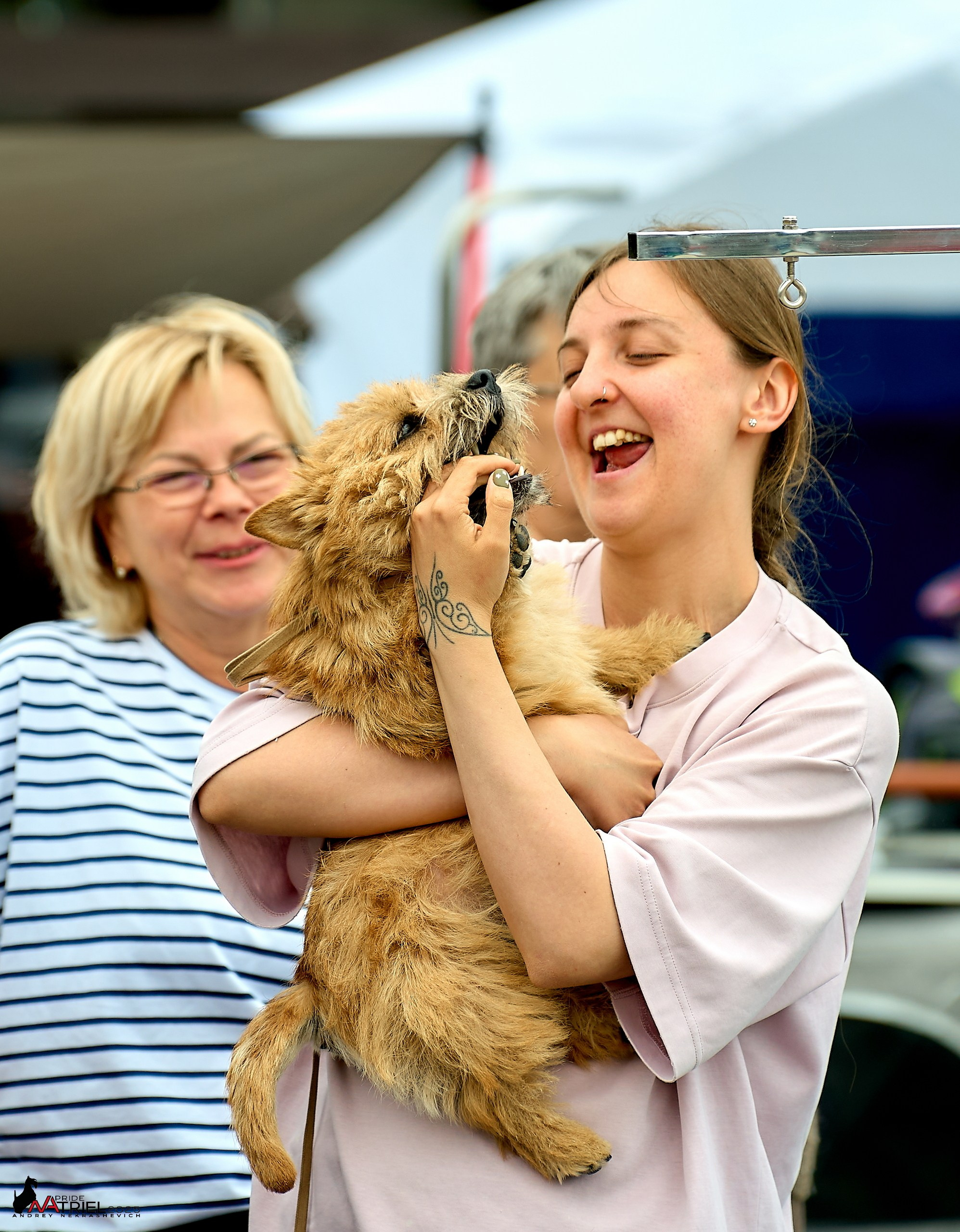 Выставка собак РОССИЯ — 2025