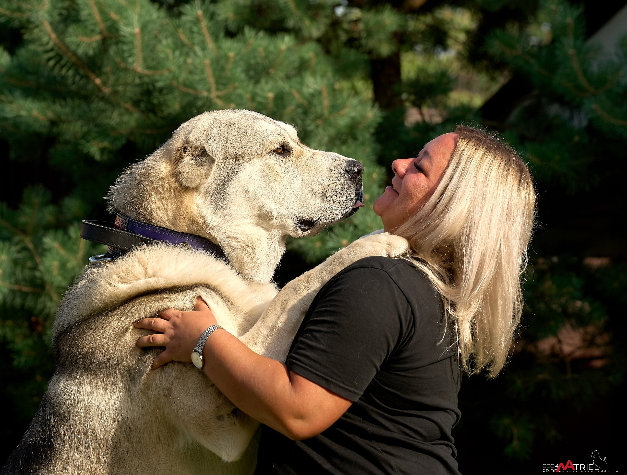 Съемка собак с выездом к Вам в дом