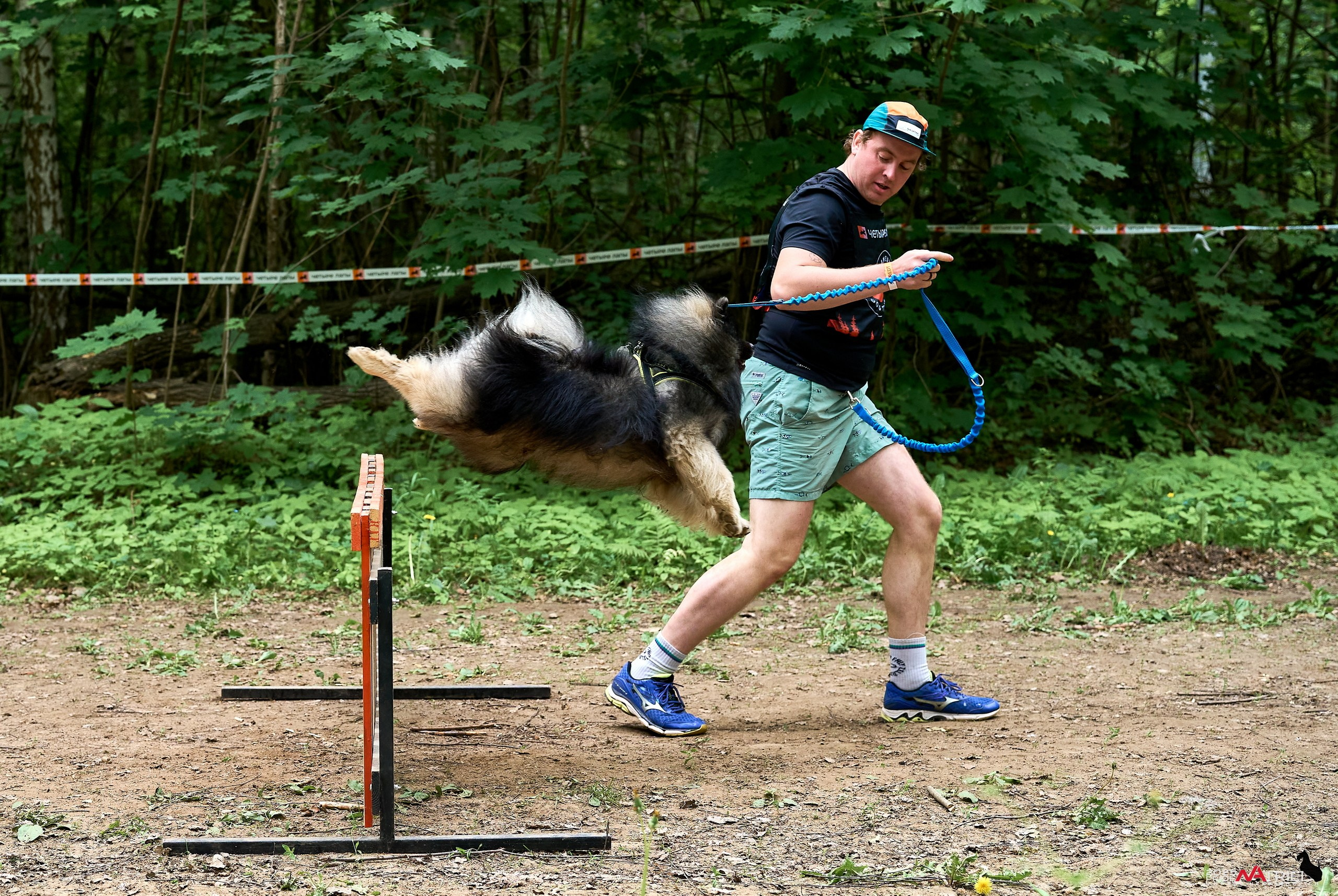 Russian Extreme Dog Trail — 2025