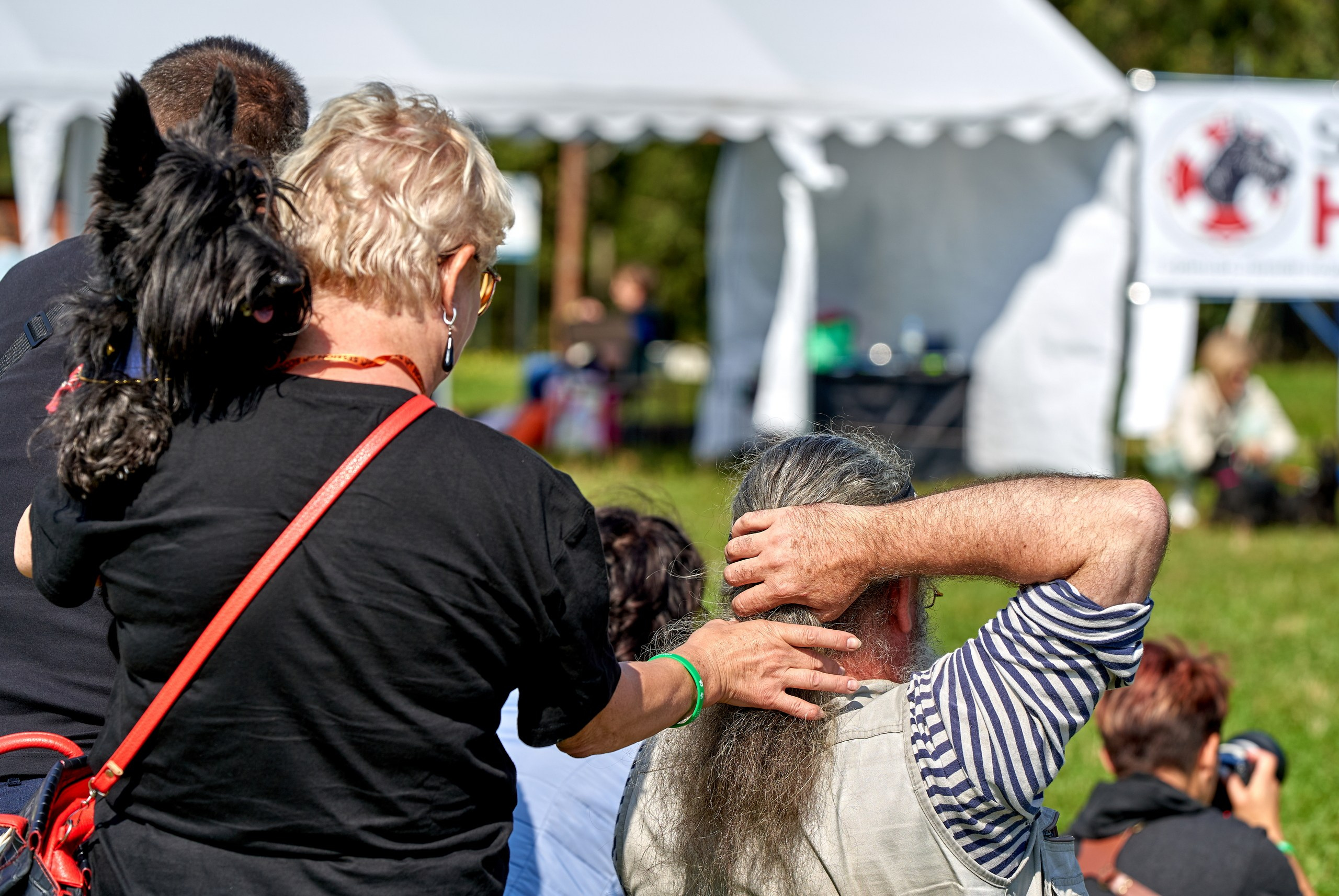 Мероприятия с собаками — галерея NATRIEL