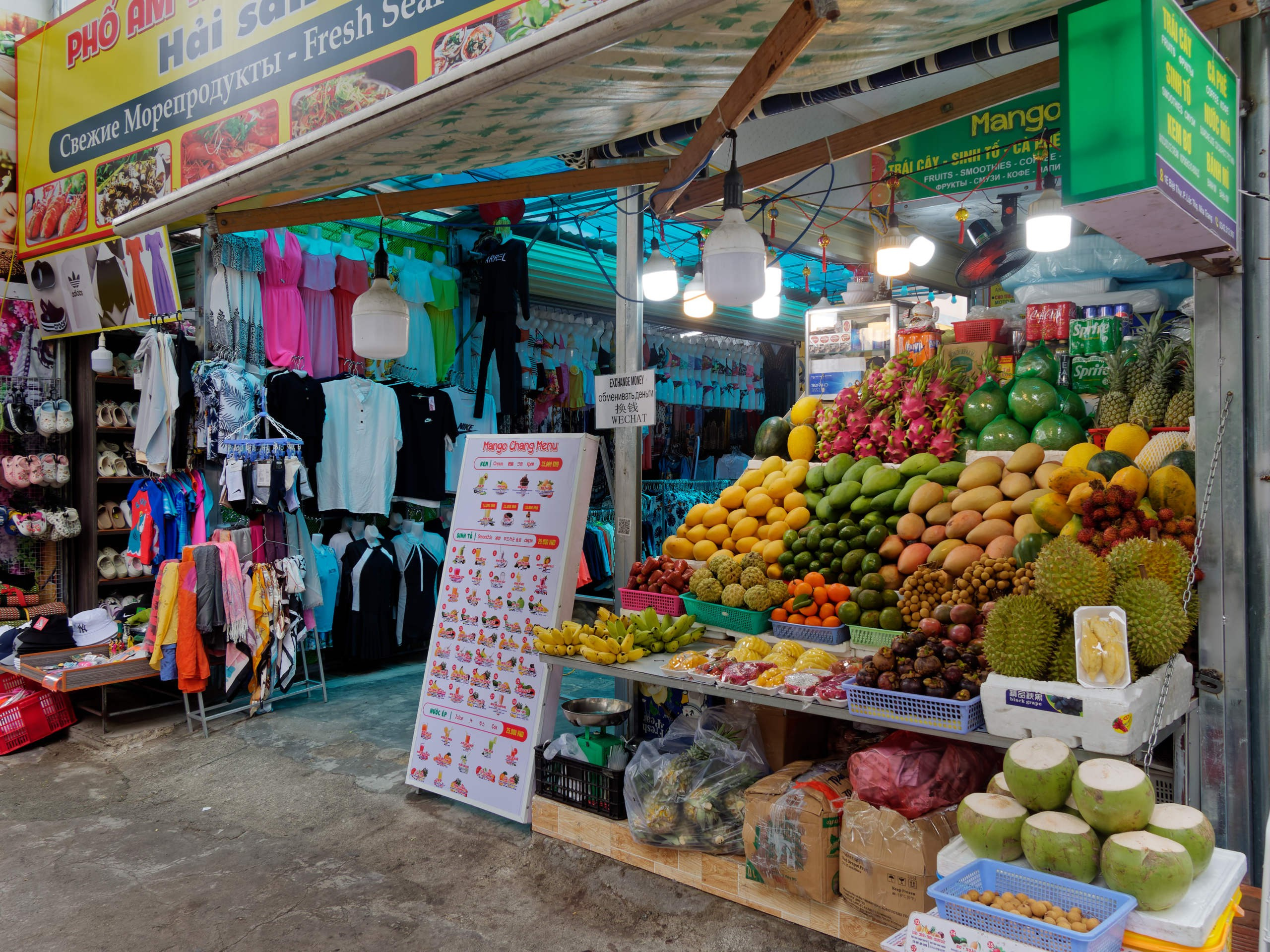 Нячанг 2025 (4). Избранные фотографии