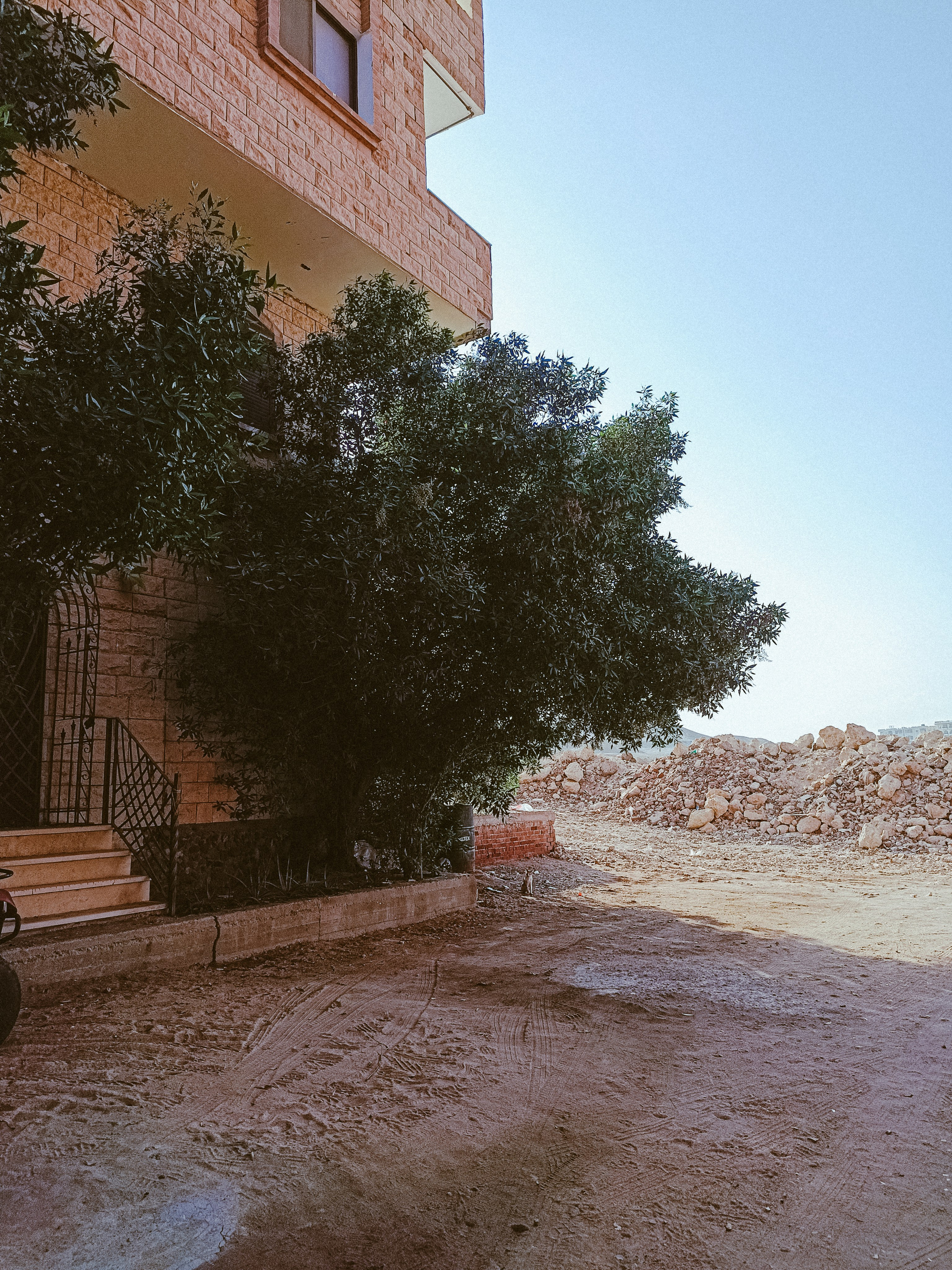 Мобильная. Jorgis — фотограф в Хургаде / обучение фотографии