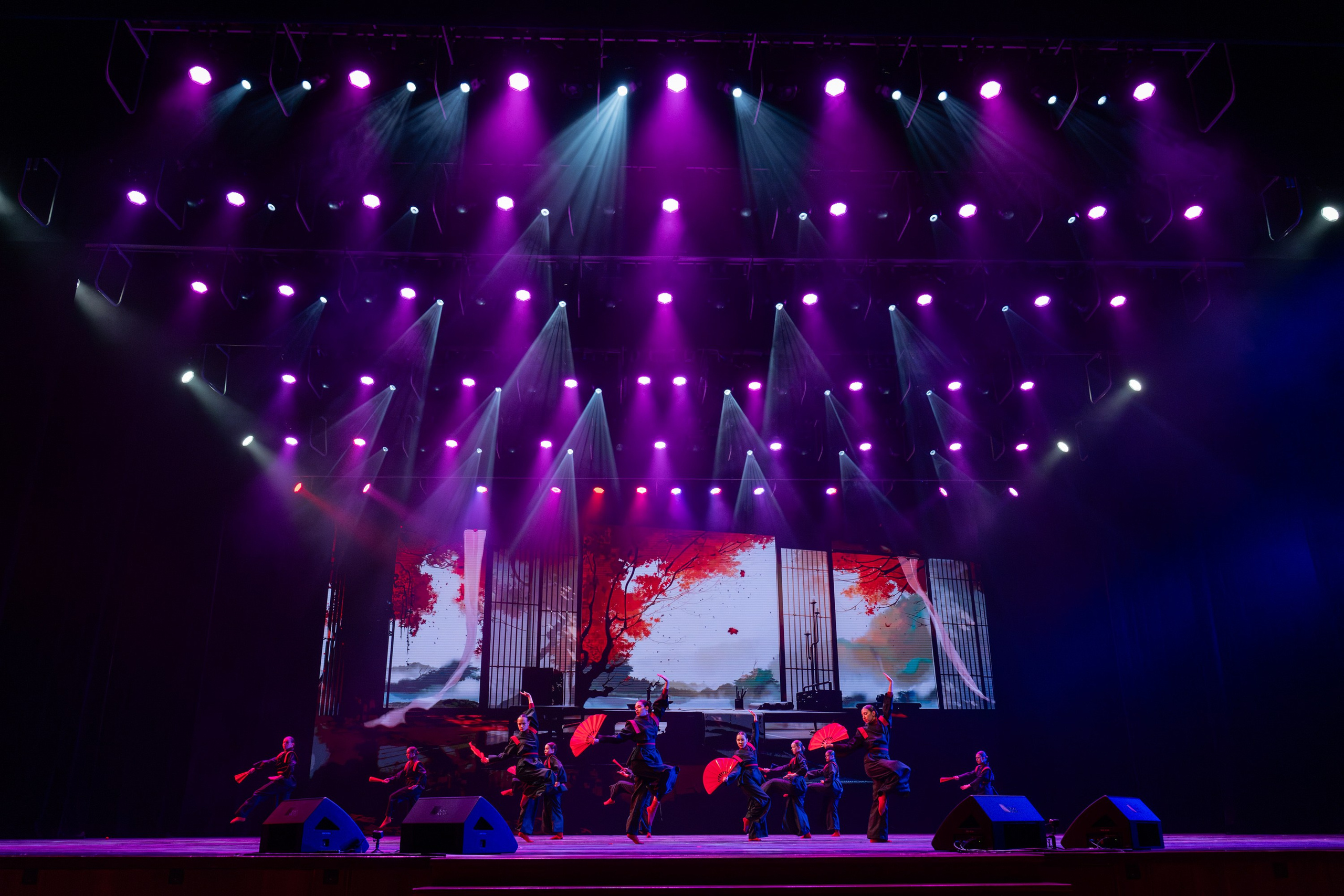 18 мая, г. Москва, Кремль, Концерт. Золотое яблочко