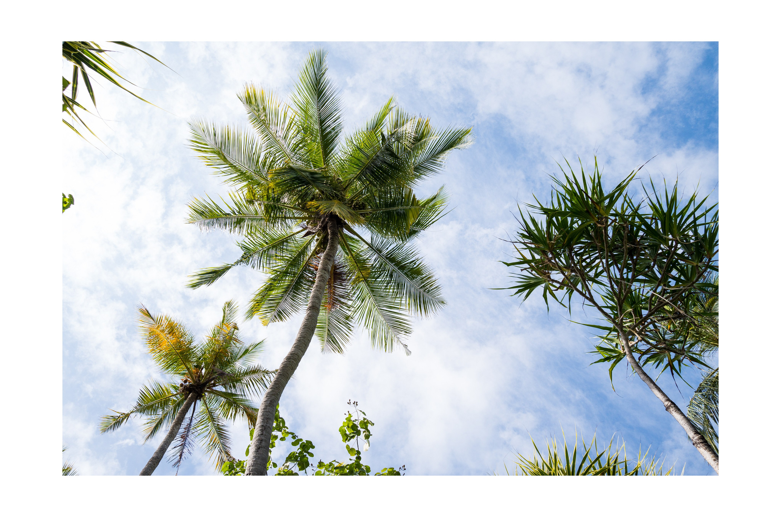 Интерьерные фотографии Мальдив. Фотографии Руслана Сайдалиева (Рус Сай)