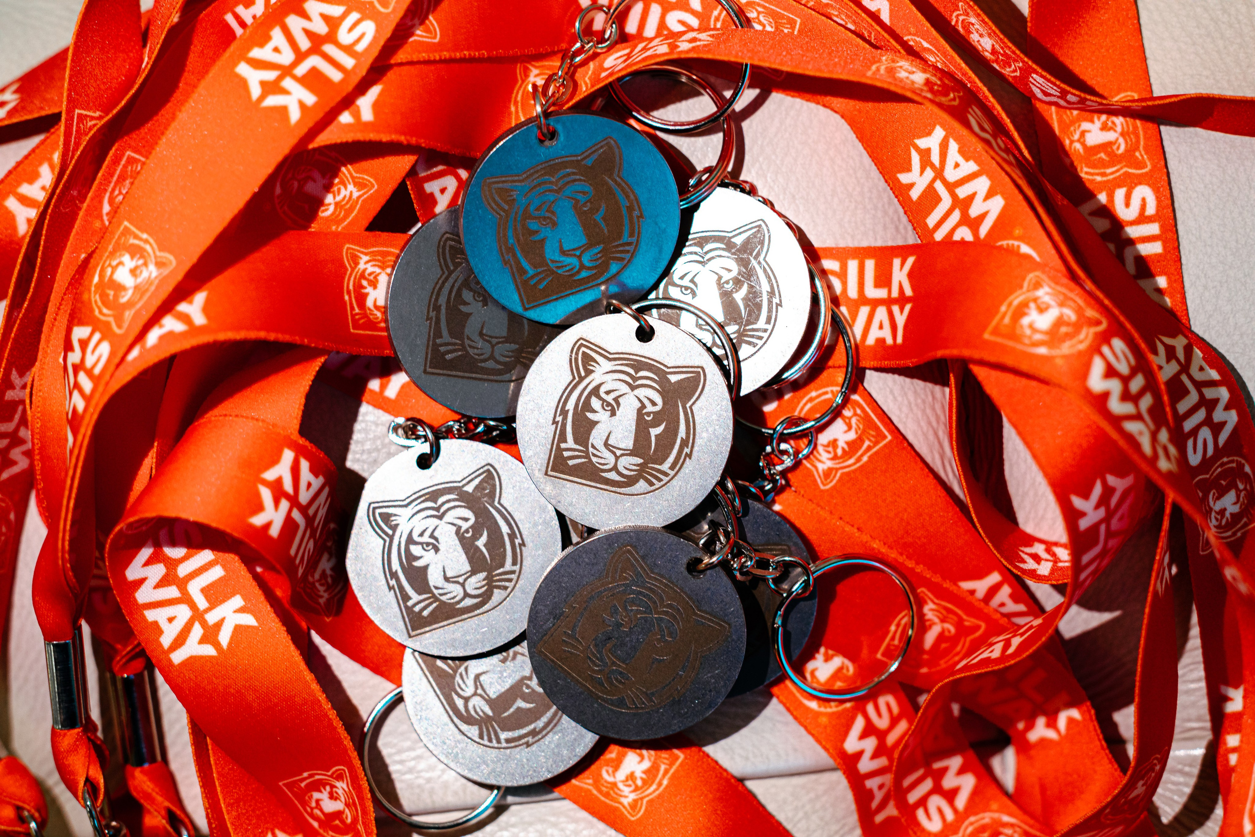 SILK WAY RALLY. Портфолио