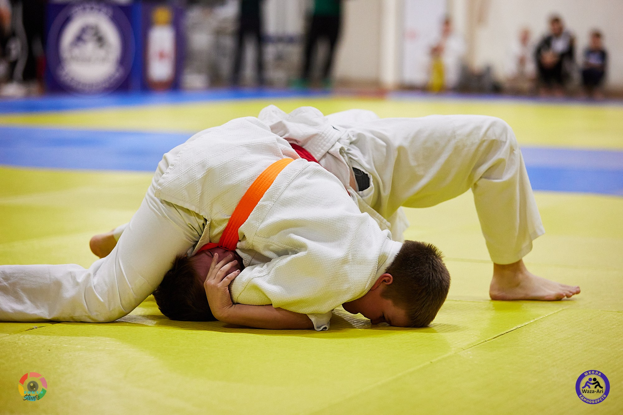 Репортаж Турнир по дзюдо. Спортивный фотограф Некрасов Денис