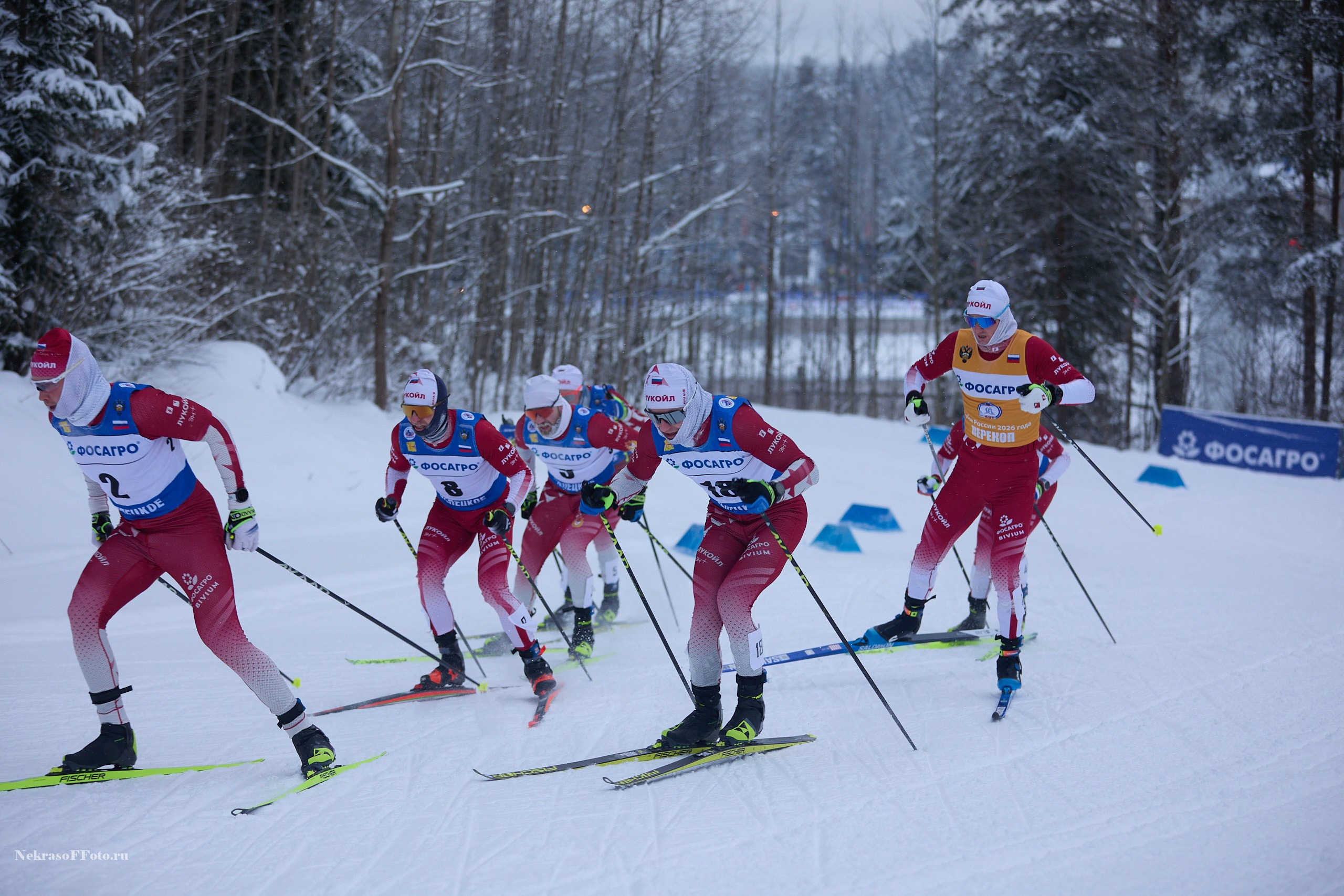 Кубок России по Лыжным гонкам. Спортивный фотограф Некрасов Денис