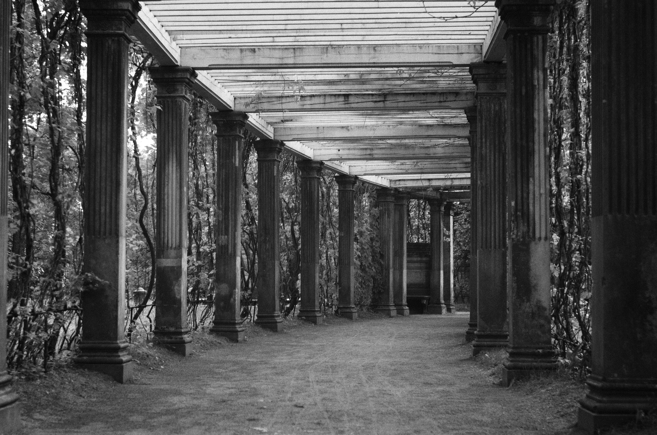 Фотографии на плёнку. Фотограф в Санкт-Петербурге и Москве Наталья Милли