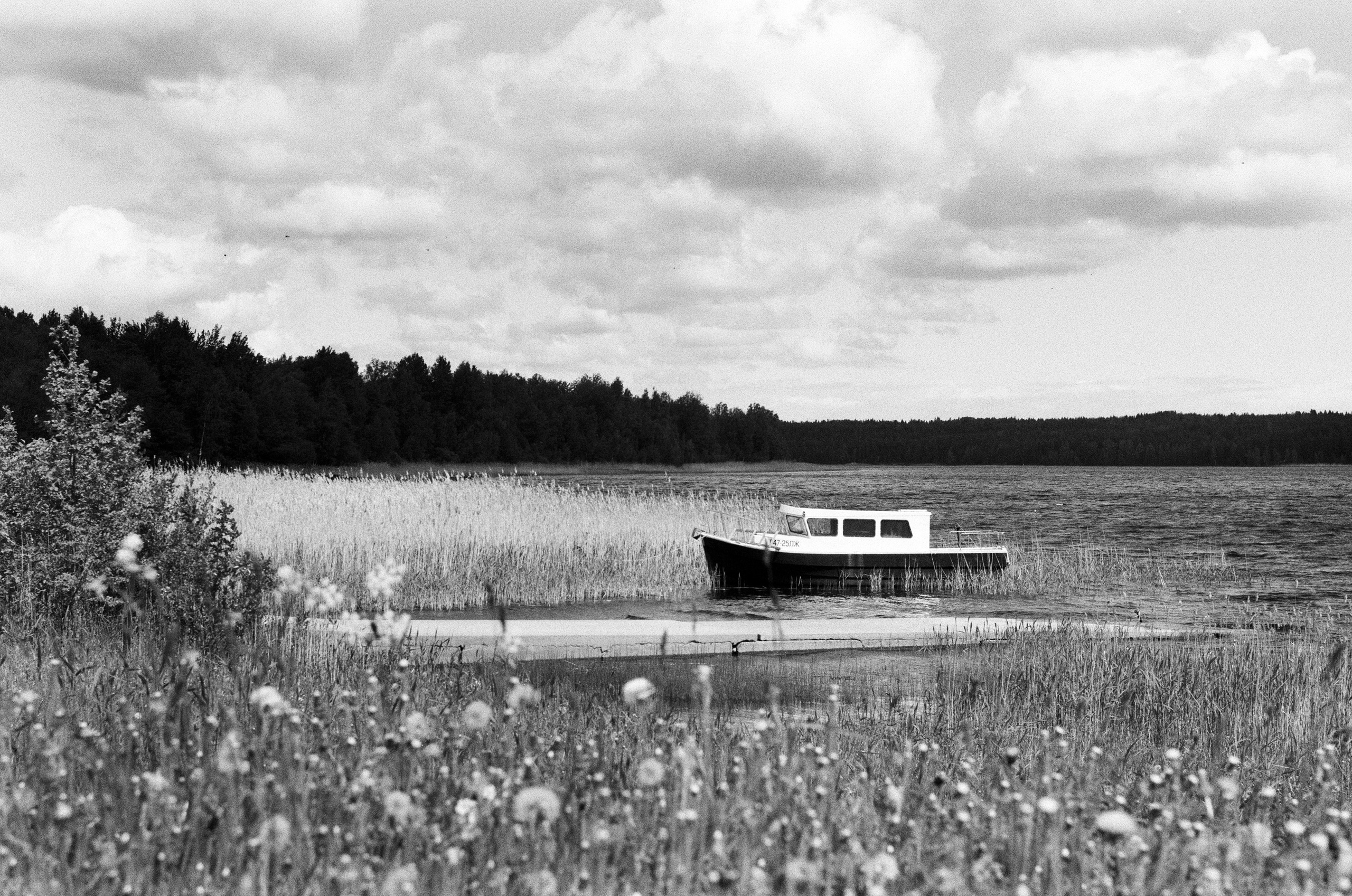 Фотографии на плёнку. Фотограф в Санкт-Петербурге и Москве Наталья Милли