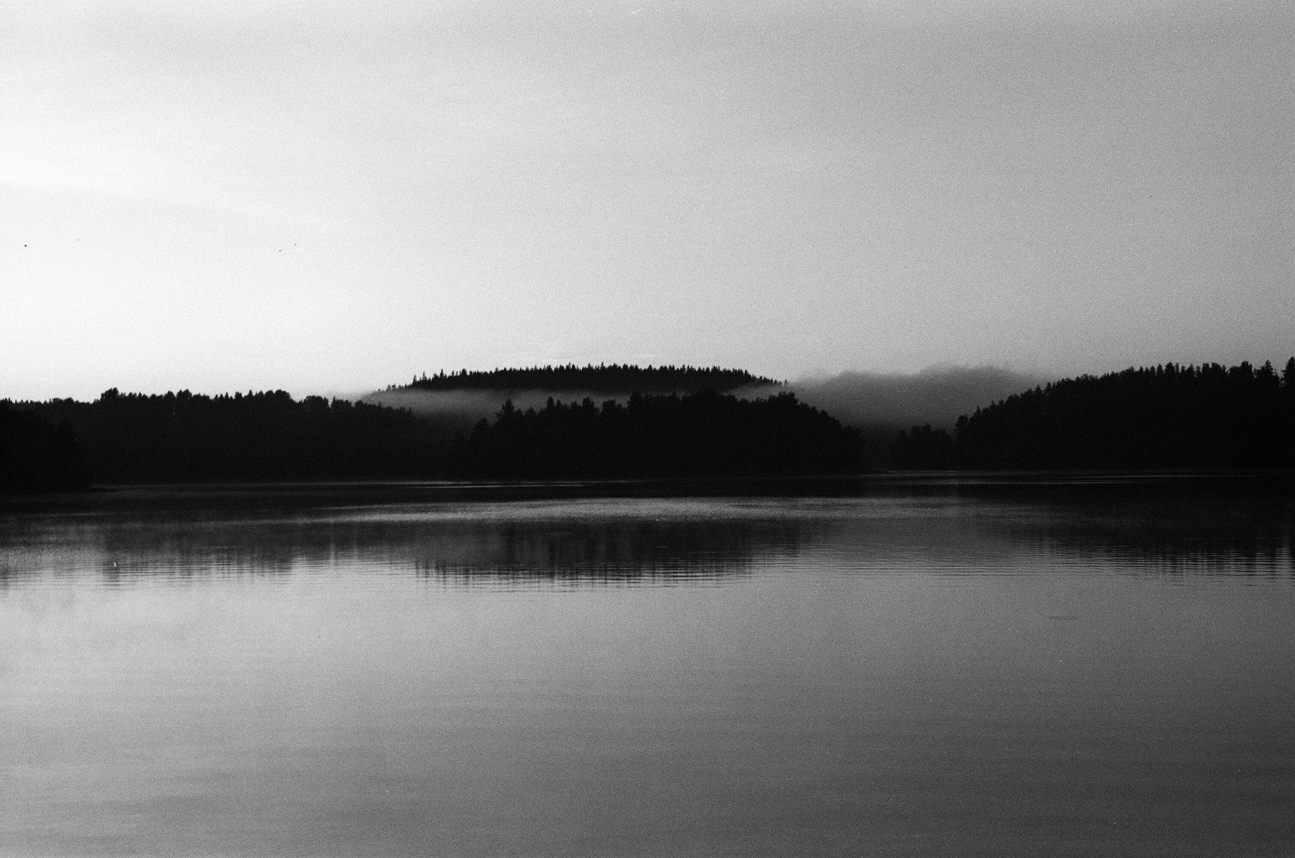 Фотографии на плёнку. Фотограф в Санкт-Петербурге и Москве Наталья Милли