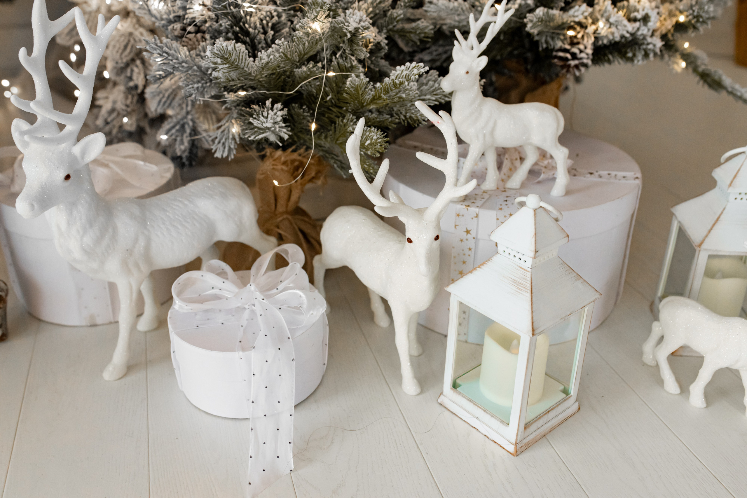 В Атмосфере. Фотограф Белгород