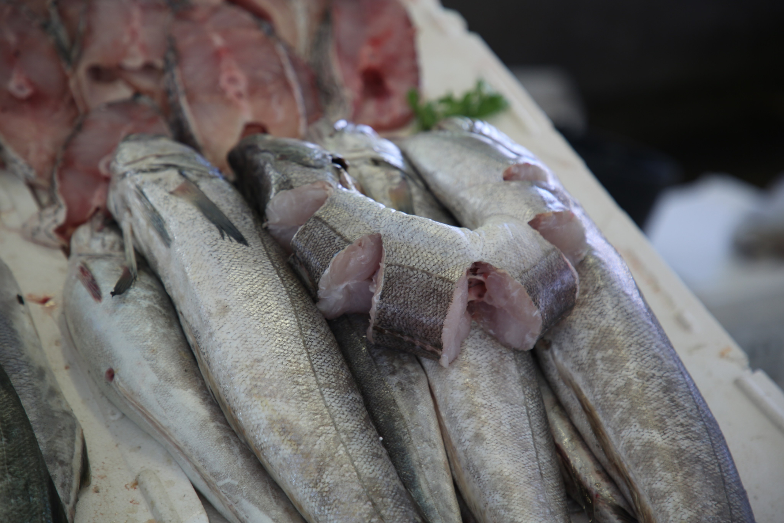 Espihnio, Portugal. Andrey Filippov Photographer