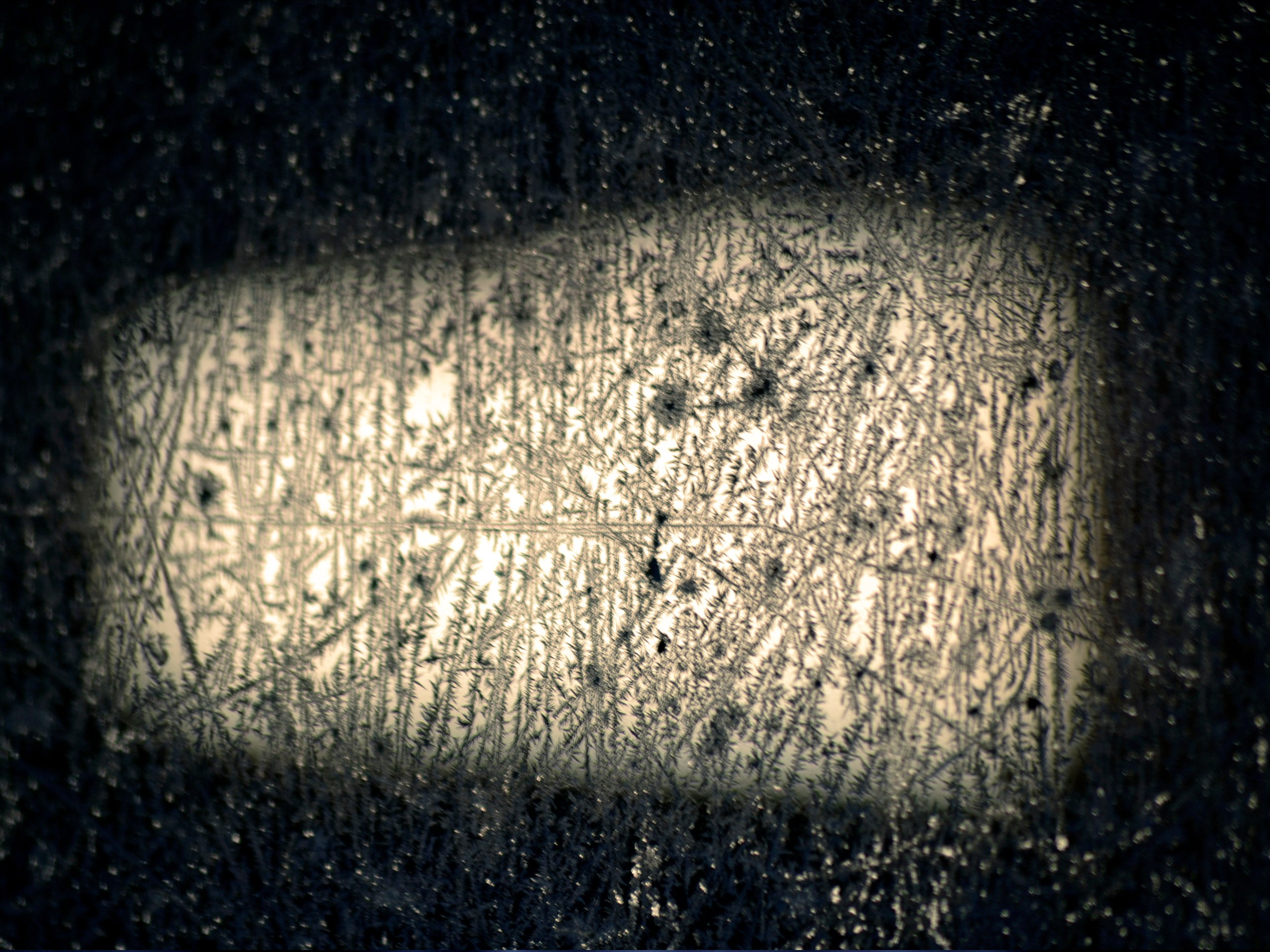 Фотограф | Видеограф в Кургане, Тюмени и Челябинске