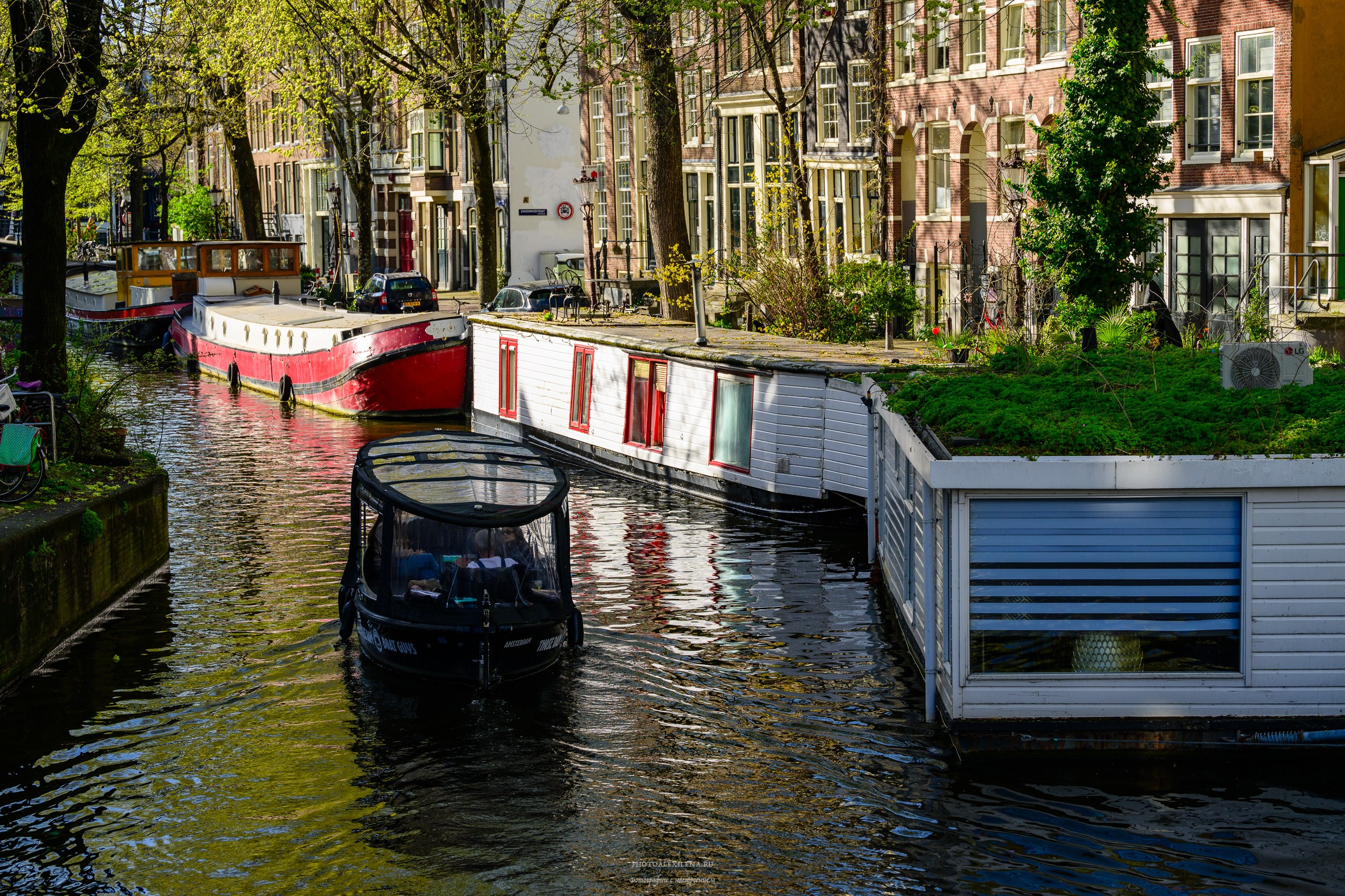 И это всё о нём. Авторские стильные фотокартины