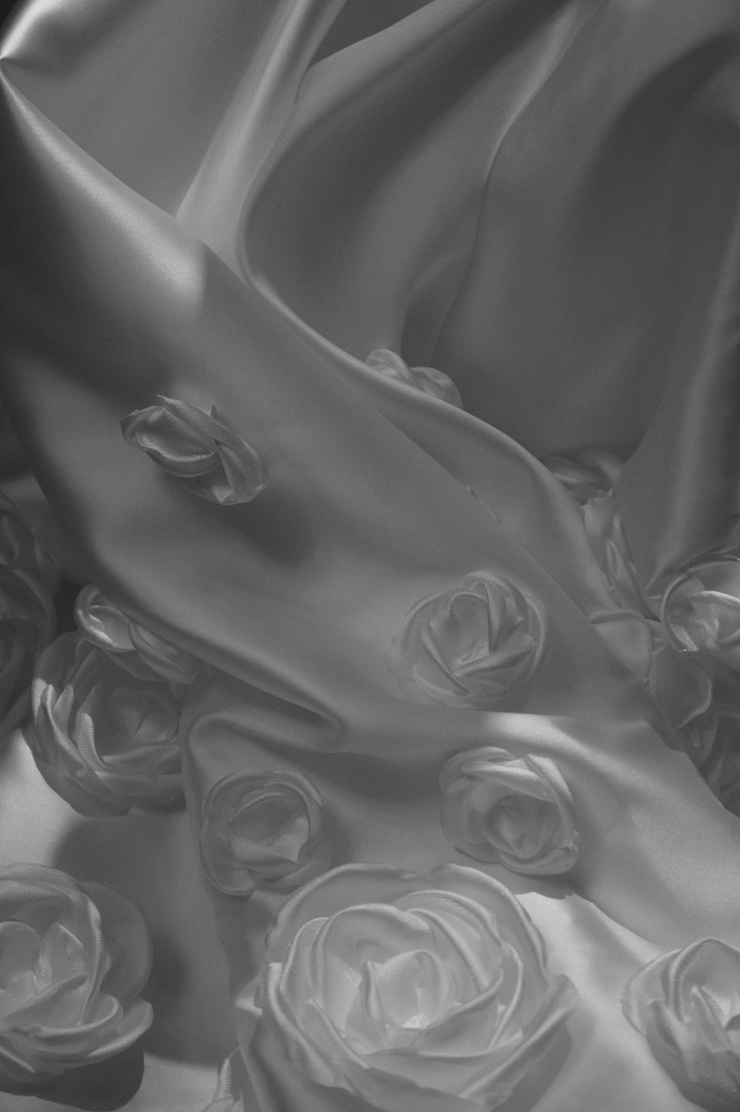 S&D. Свадебный фотограф МОСКВА, КРЫМ, СМОЛЕНСК АЛЯ КОНОВАЛОВА