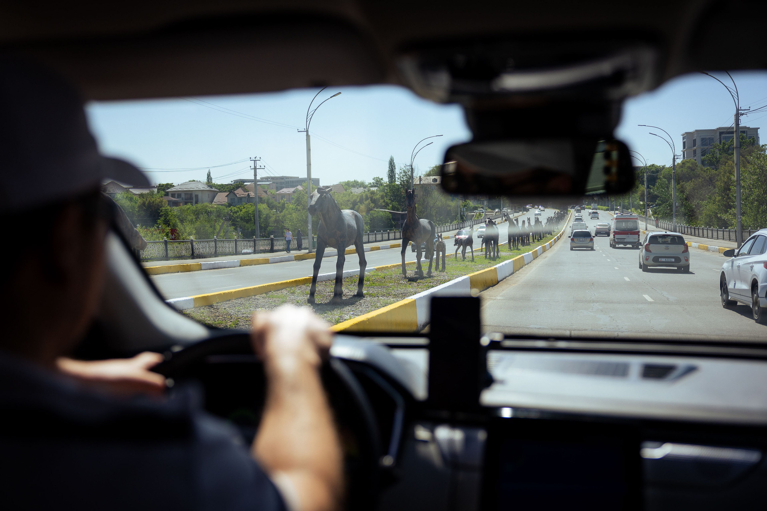 Кыргызстан (весна 2025). Фотограф Виноградов Константин